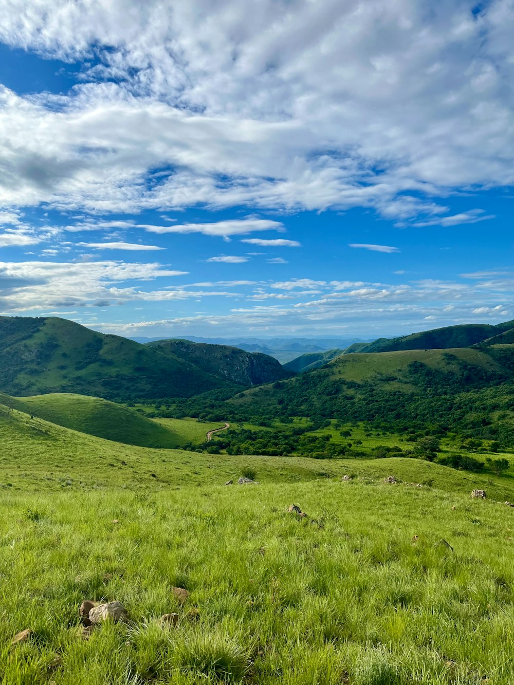 a grassy field with mountains in the background