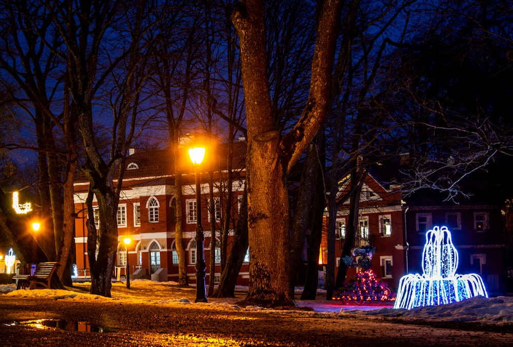 a lit up christmas tree in the middle of a park