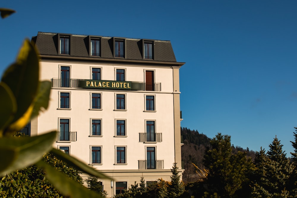 a hotel with a sign that reads palace hotel