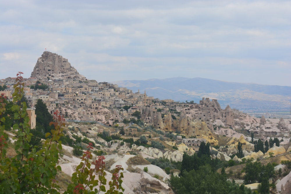 a view of a village from a distance