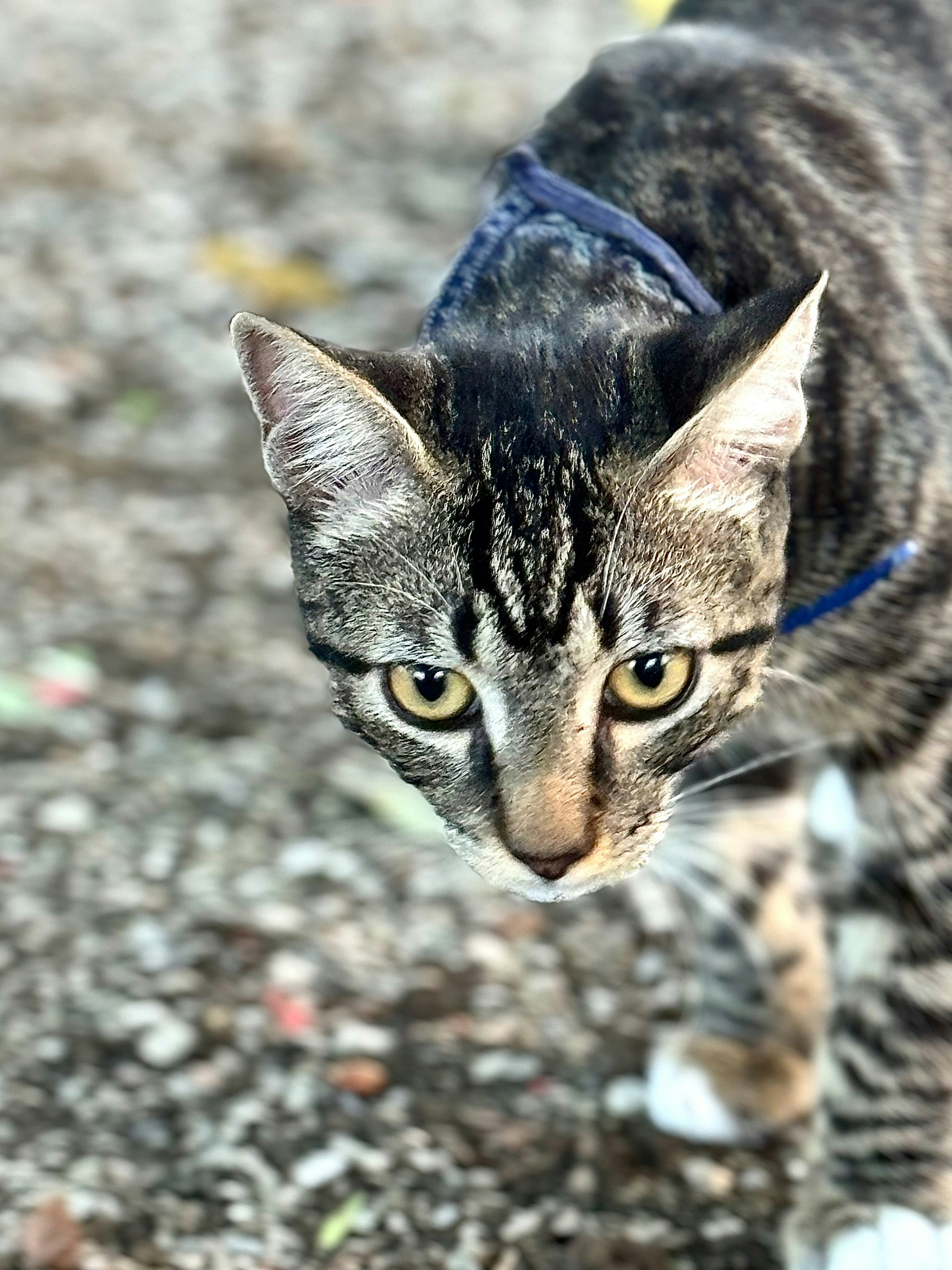 Photo by jonathan_moreira