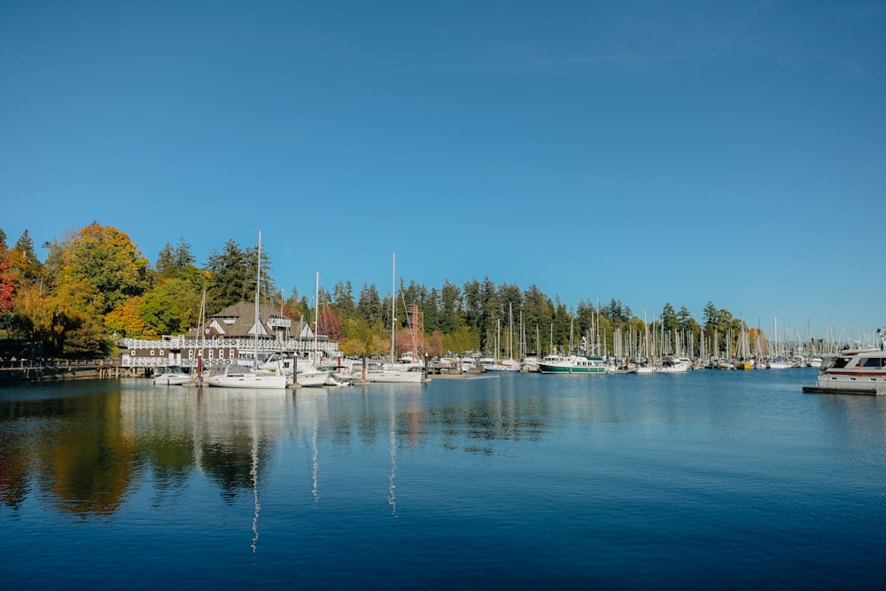 a body of water filled with lots of boats