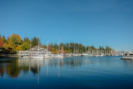 Orillia waterfront marina with sailboats docked along a calm lake and tree-lined shoreline.