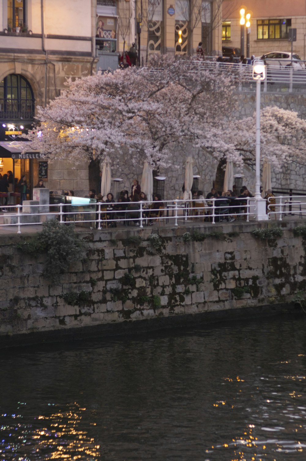 a group of people sitting on a bench next to a river