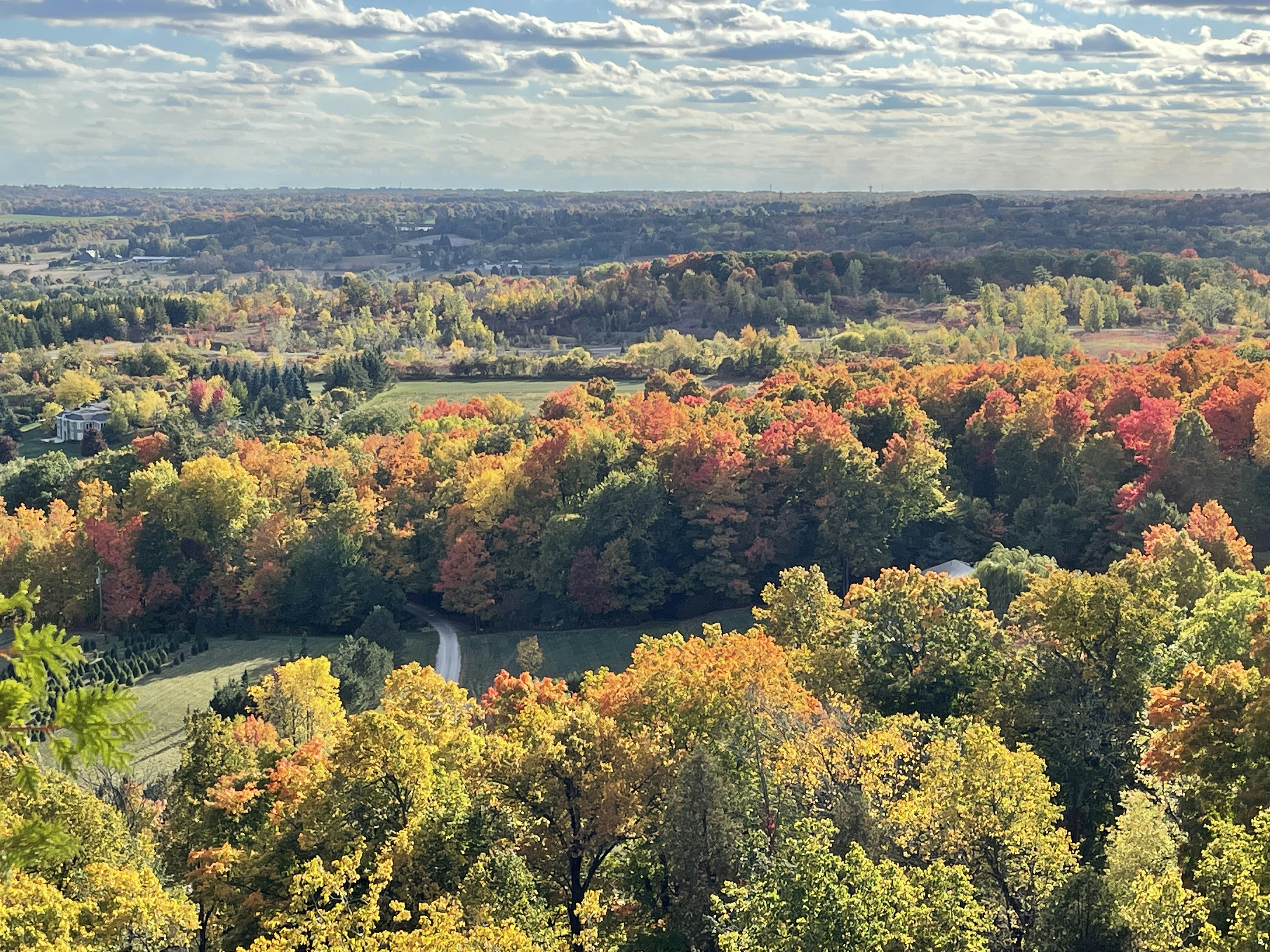 야구장 직관 시 주차 예약 가능한 곳 정리