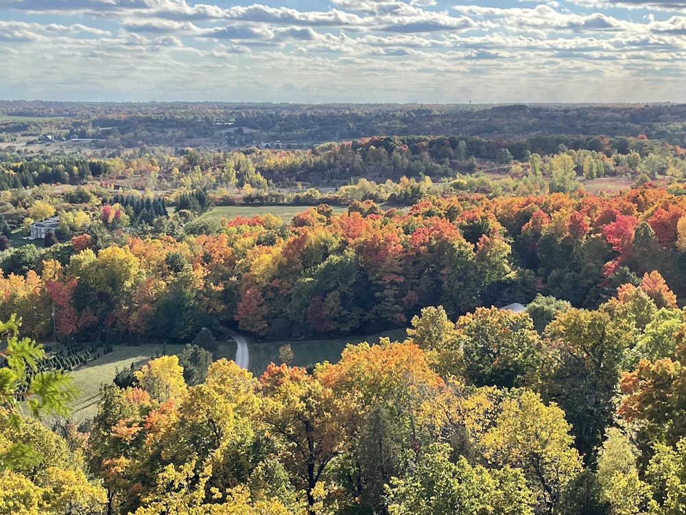 a scenic view of a river surrounded by trees