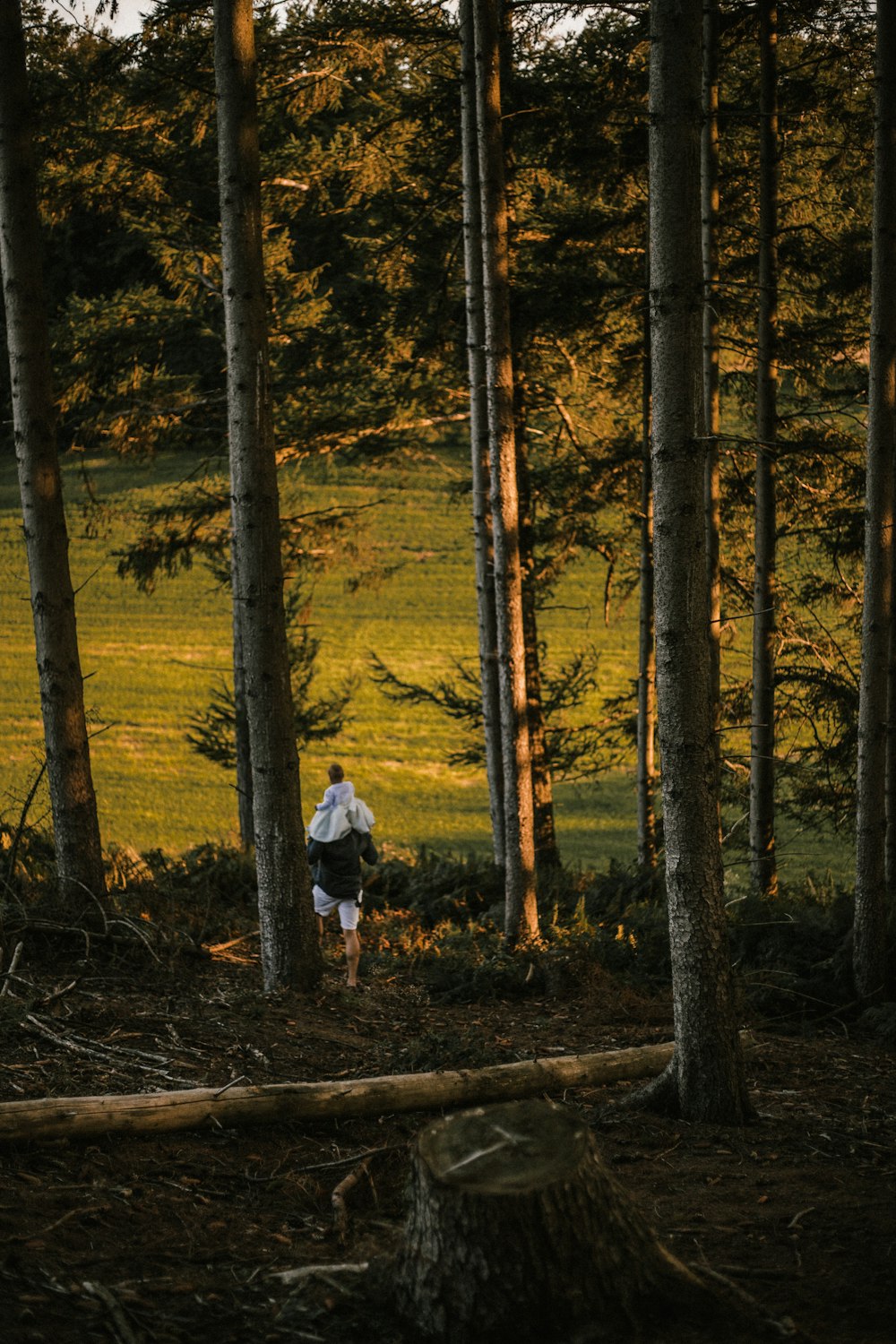 a person standing in the middle of a forest