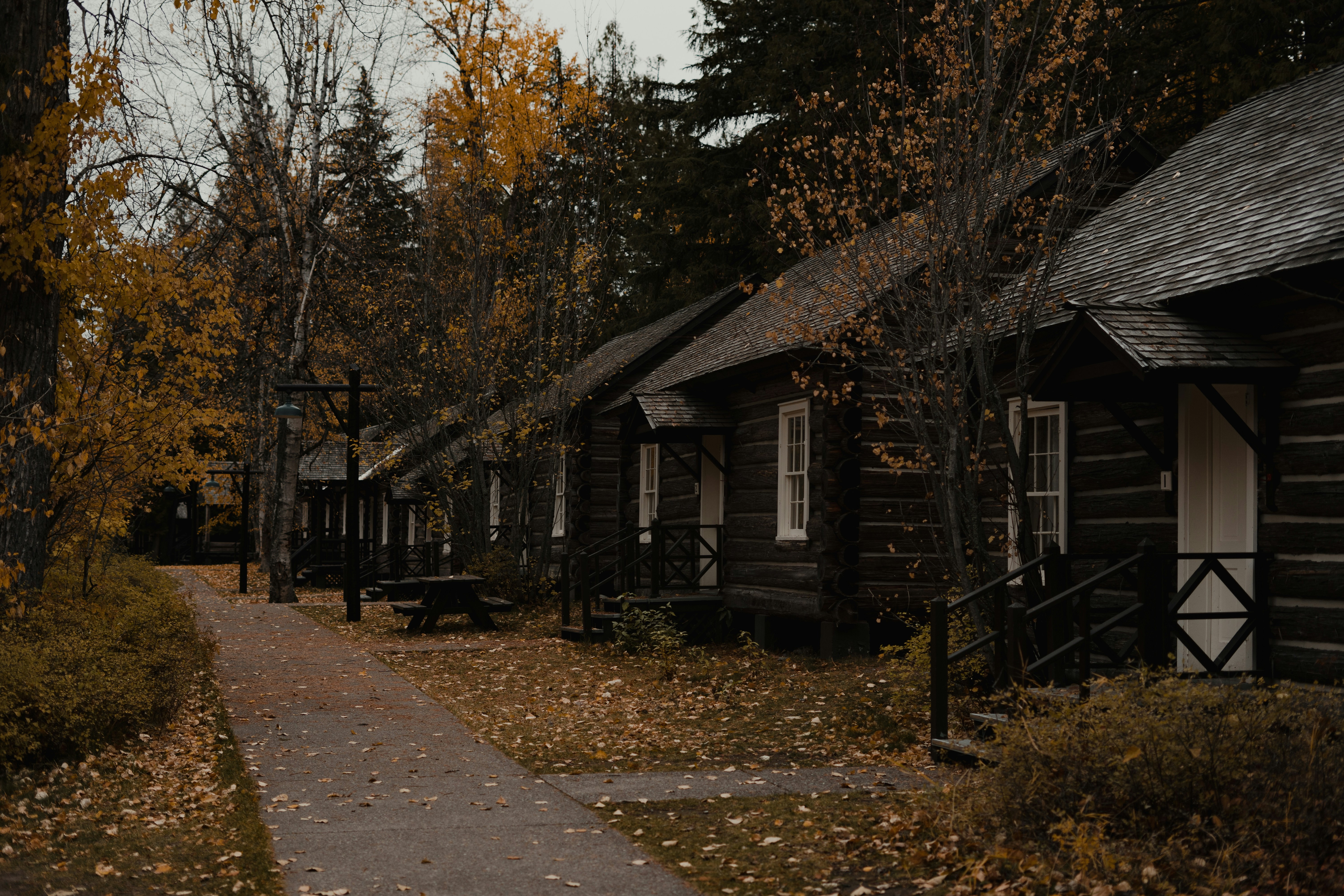 a row of log cabins in a forest
