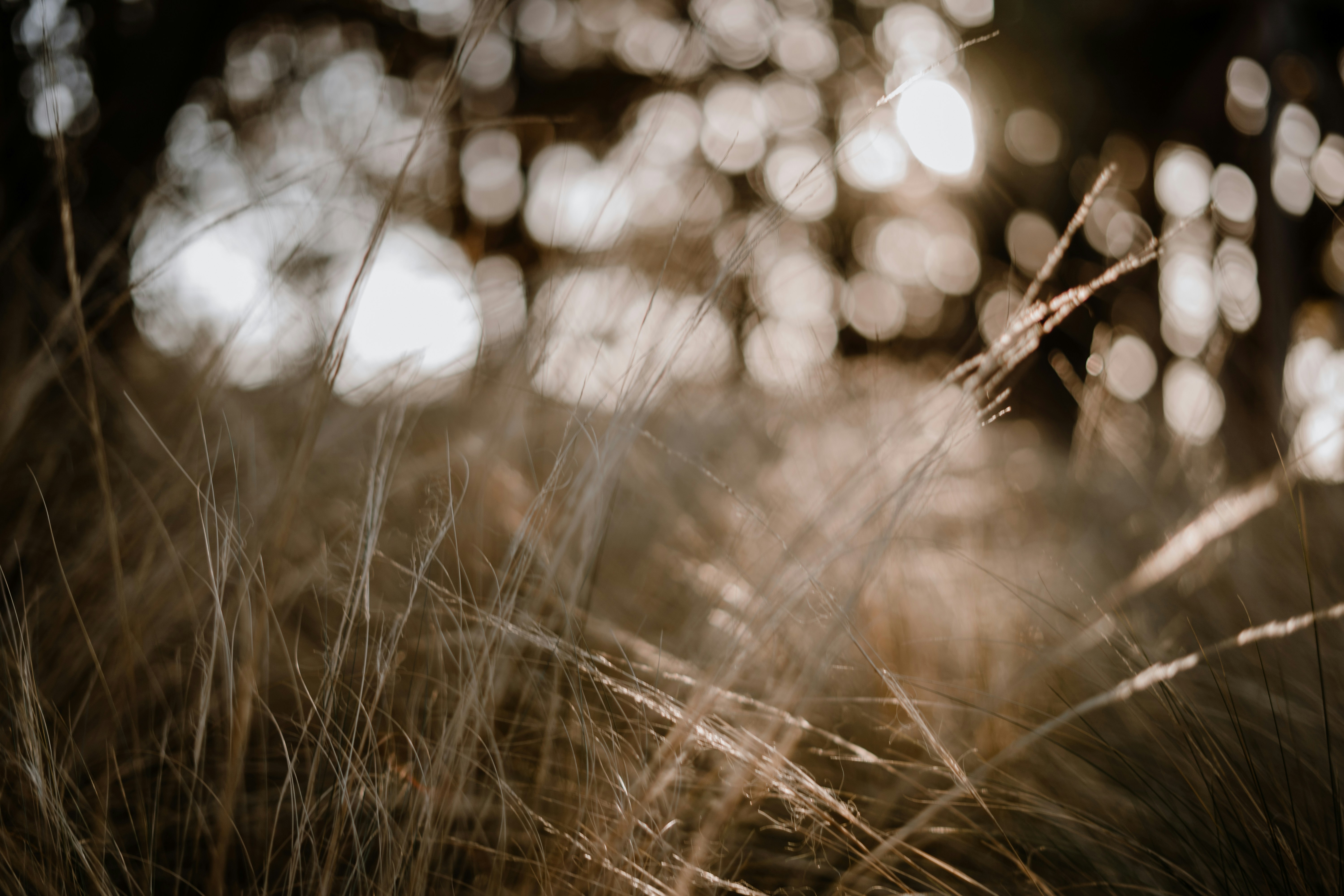 Photo by ljproductions