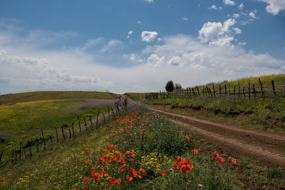 a dirt road running through a lush green field