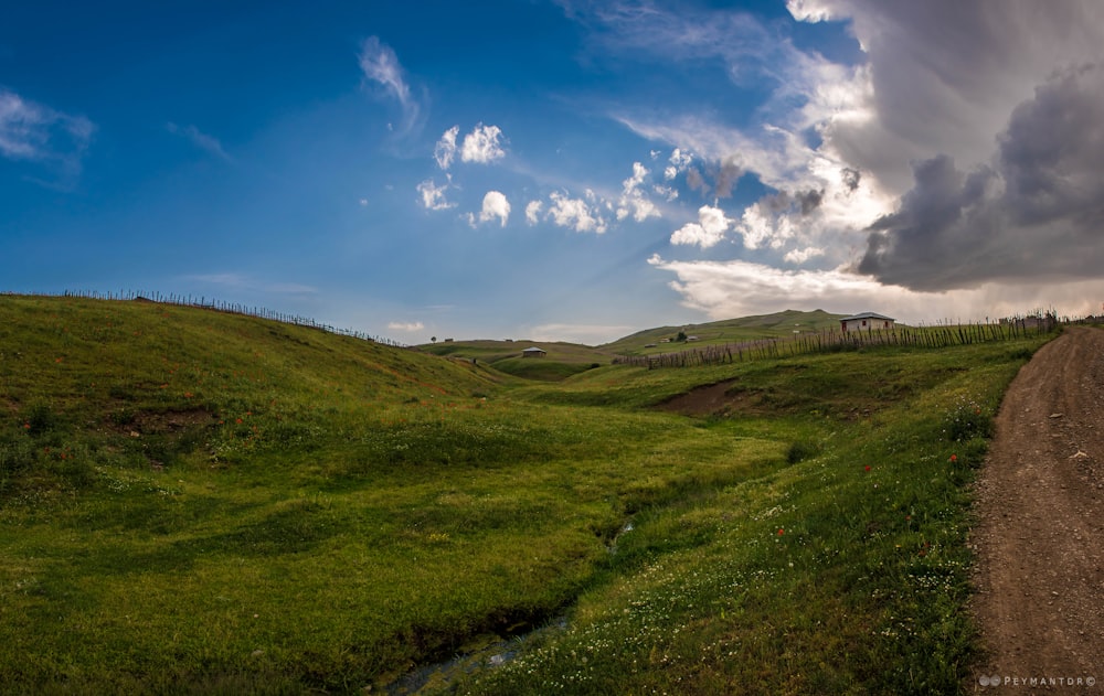 a dirt road running through a lush green field