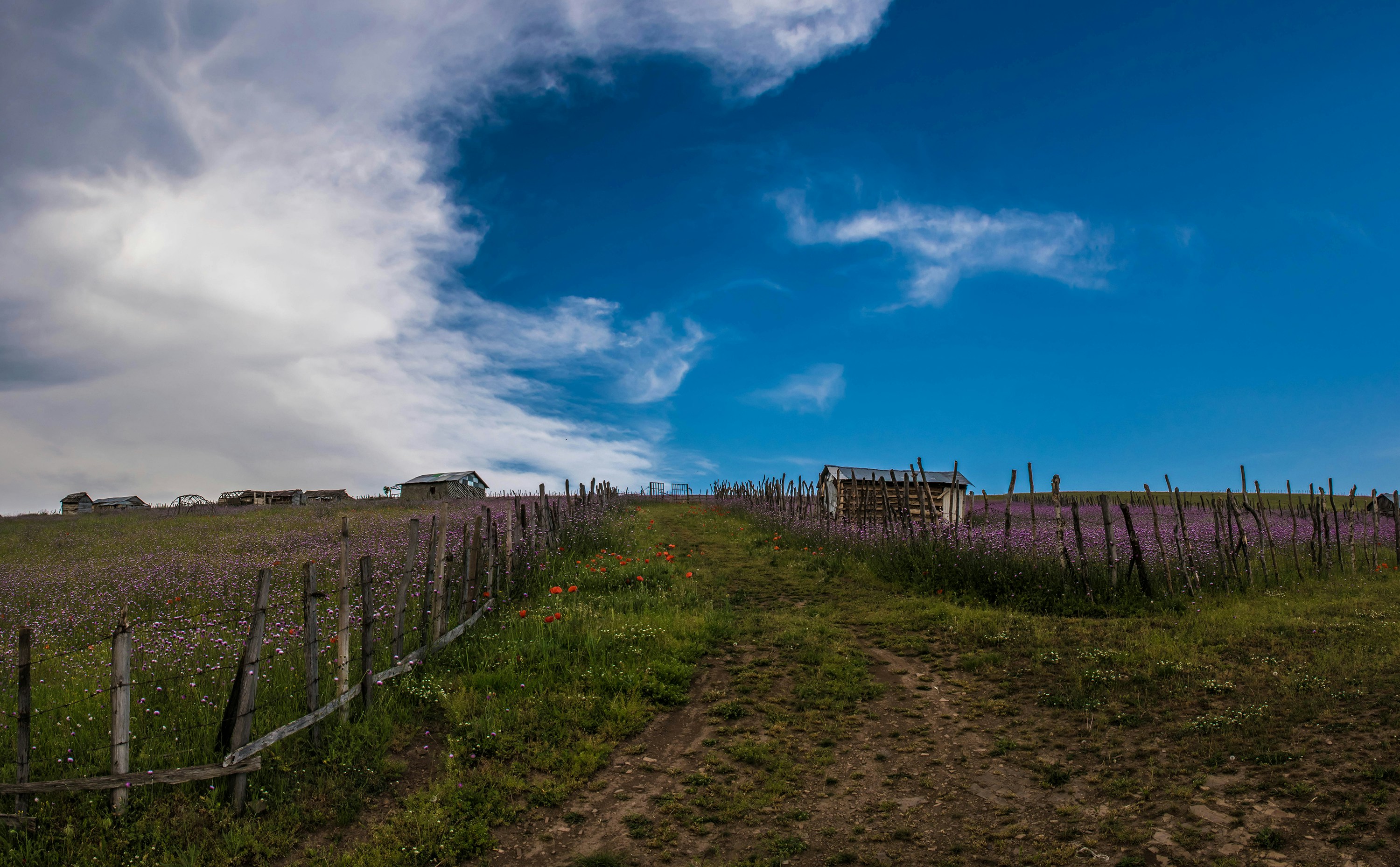 a field with a fence and a house in the distance