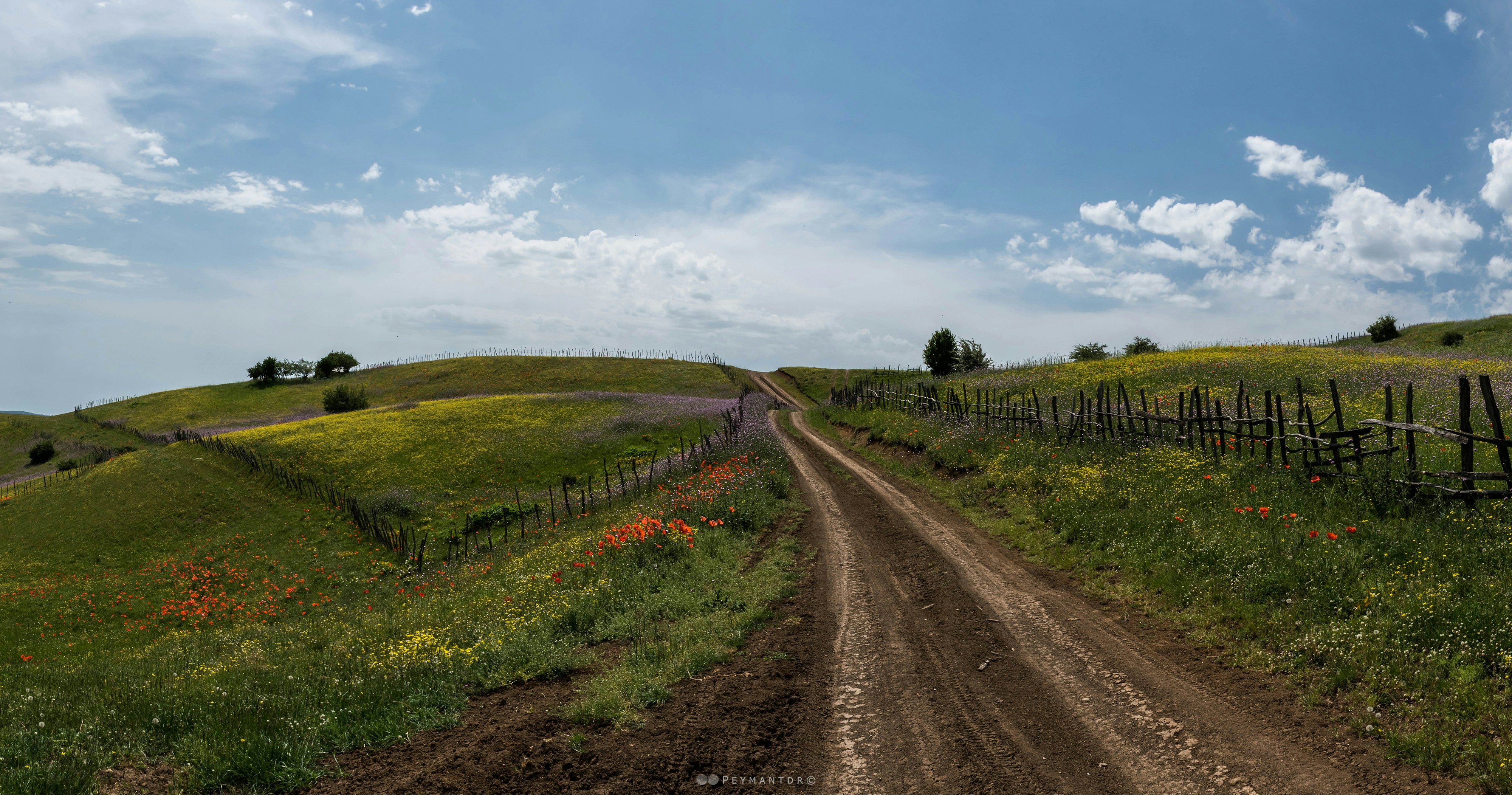 a dirt road going through a lush green field