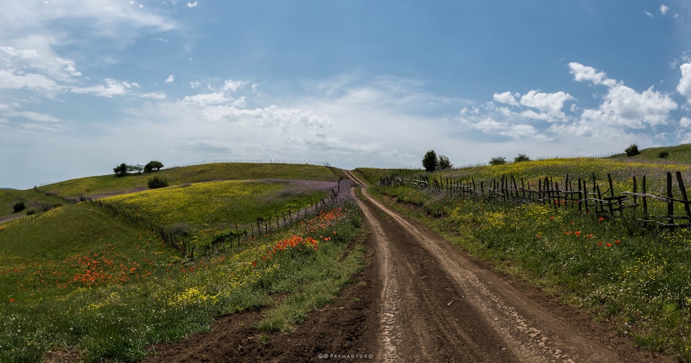 a dirt road going through a lush green field