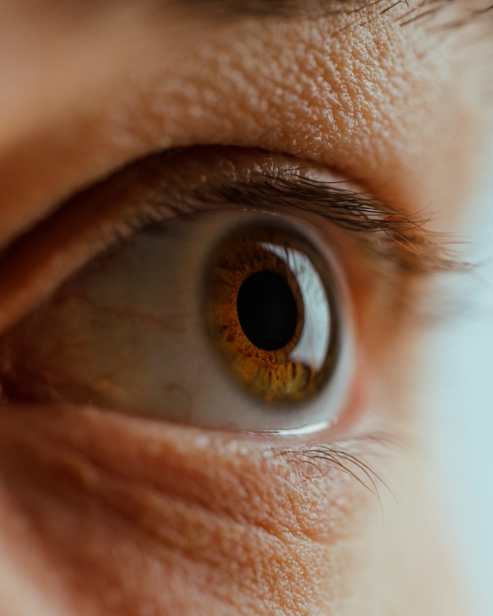 a close up of a person's brown eye