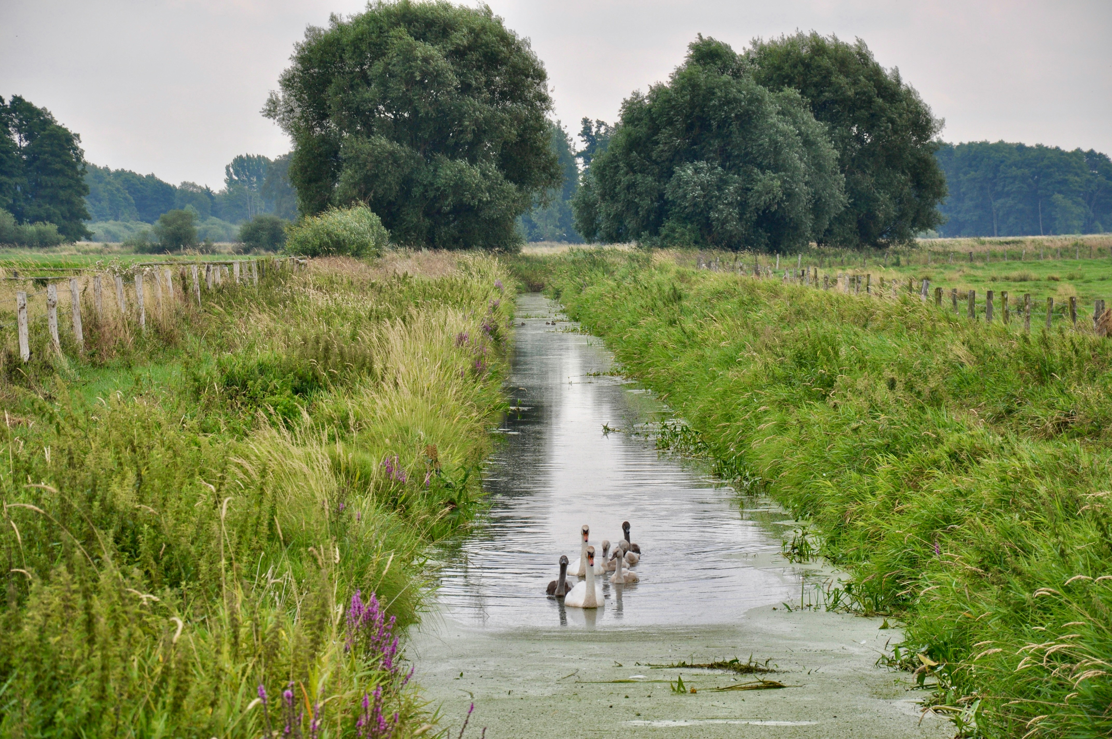 Rustpunt Natuurhuus Krönnenzommer