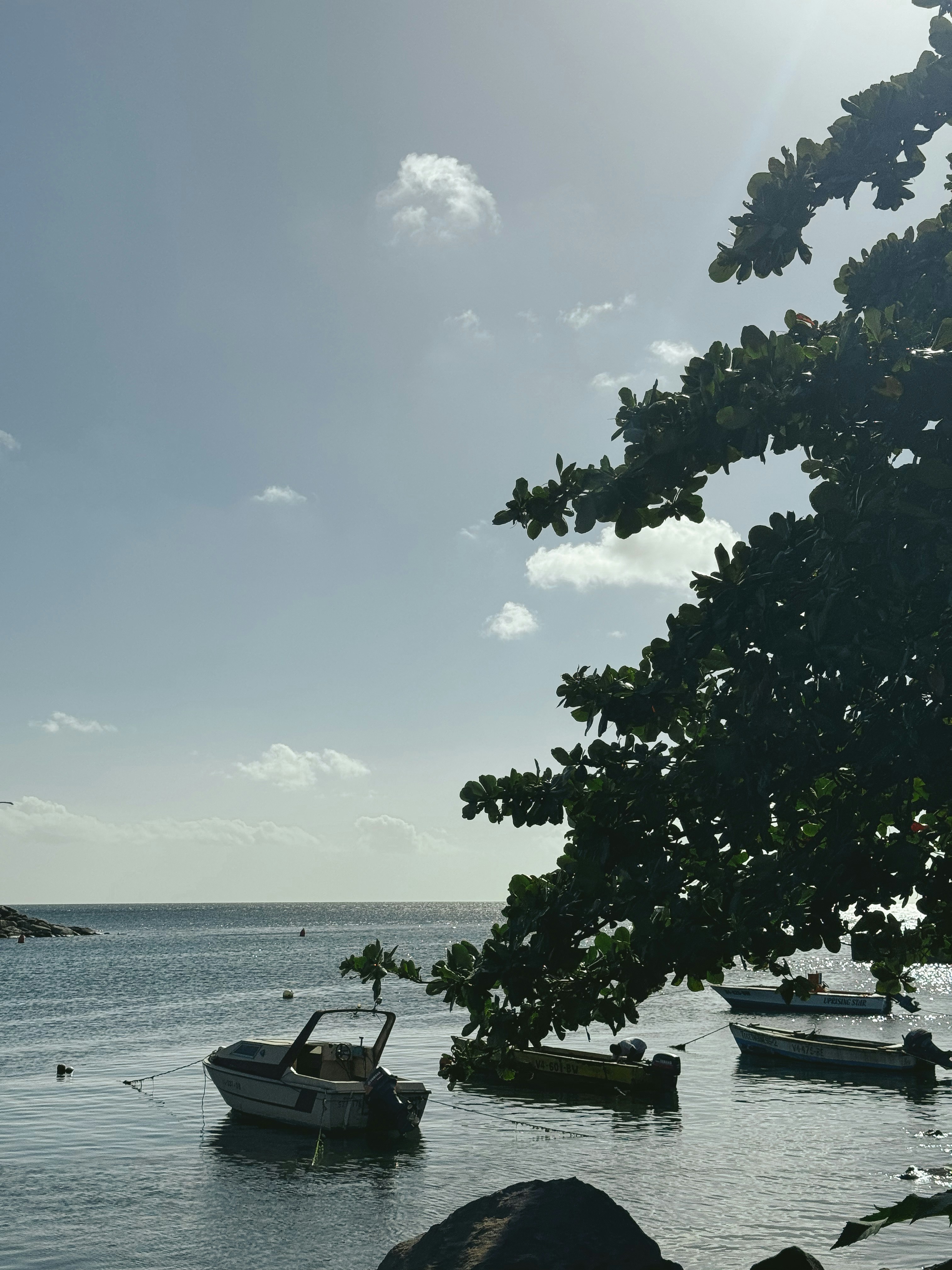 Photo by kwestioning