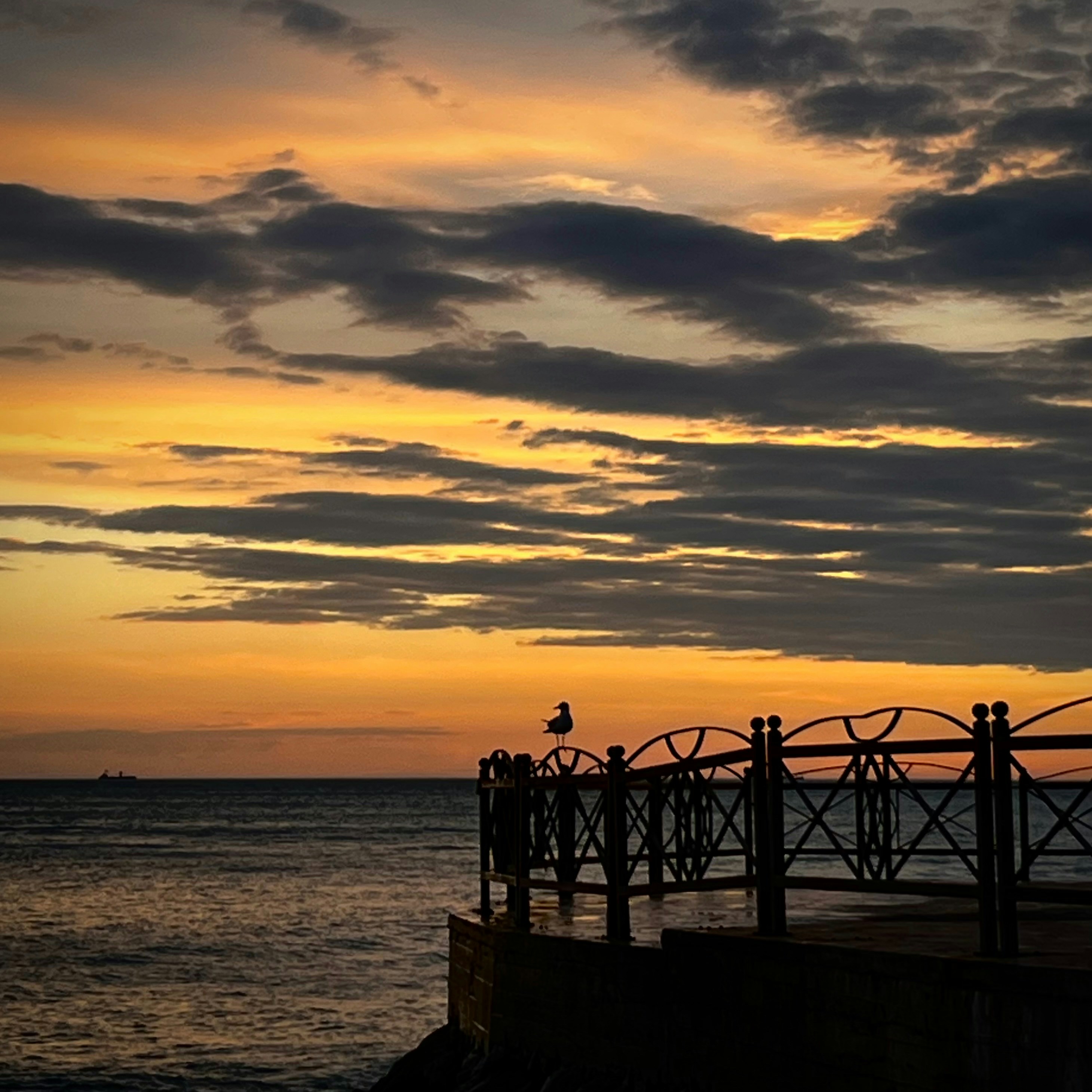 Photo by fsonmez