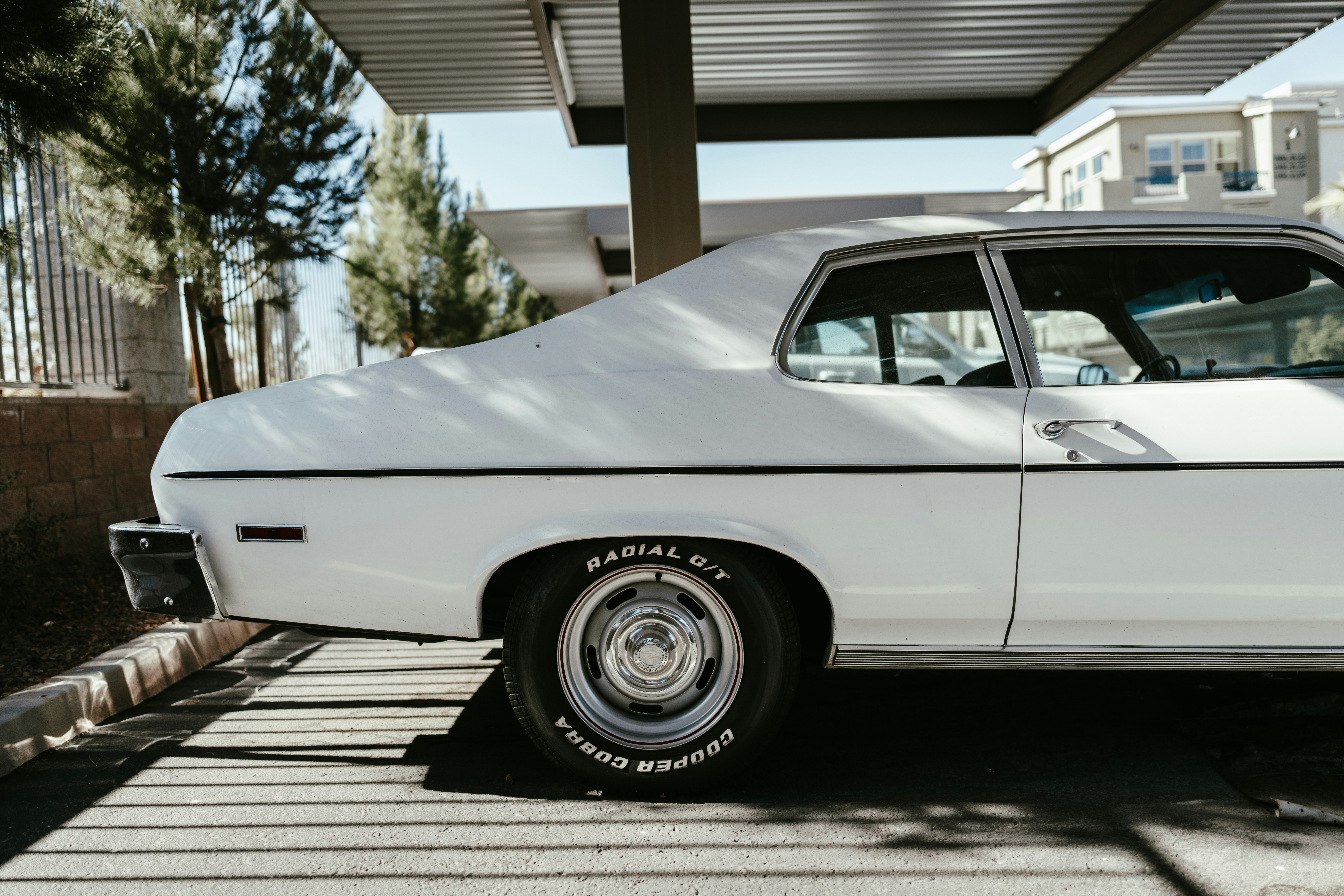 Photo by dimadallacqua