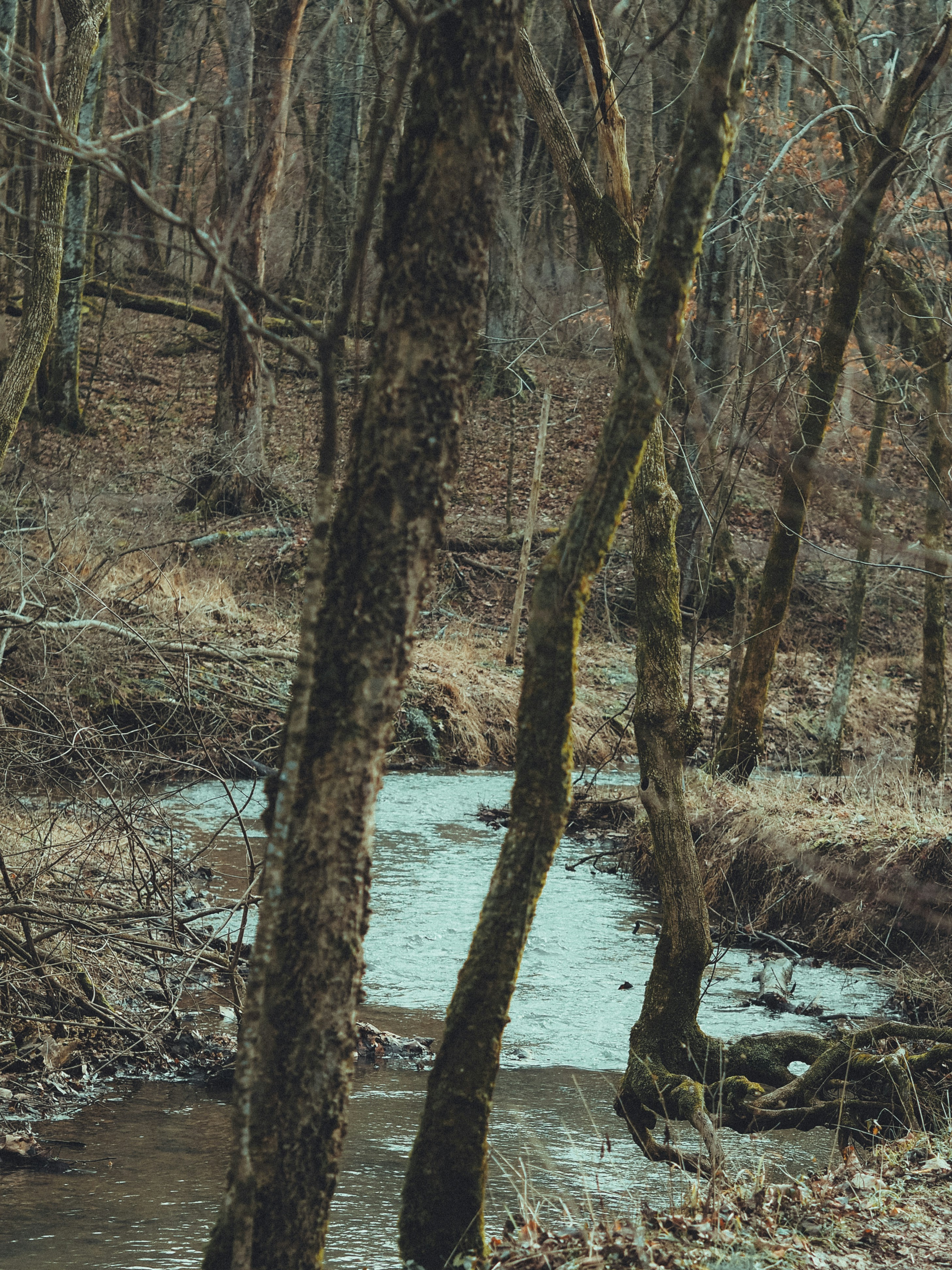 Photo by fieldworkframes