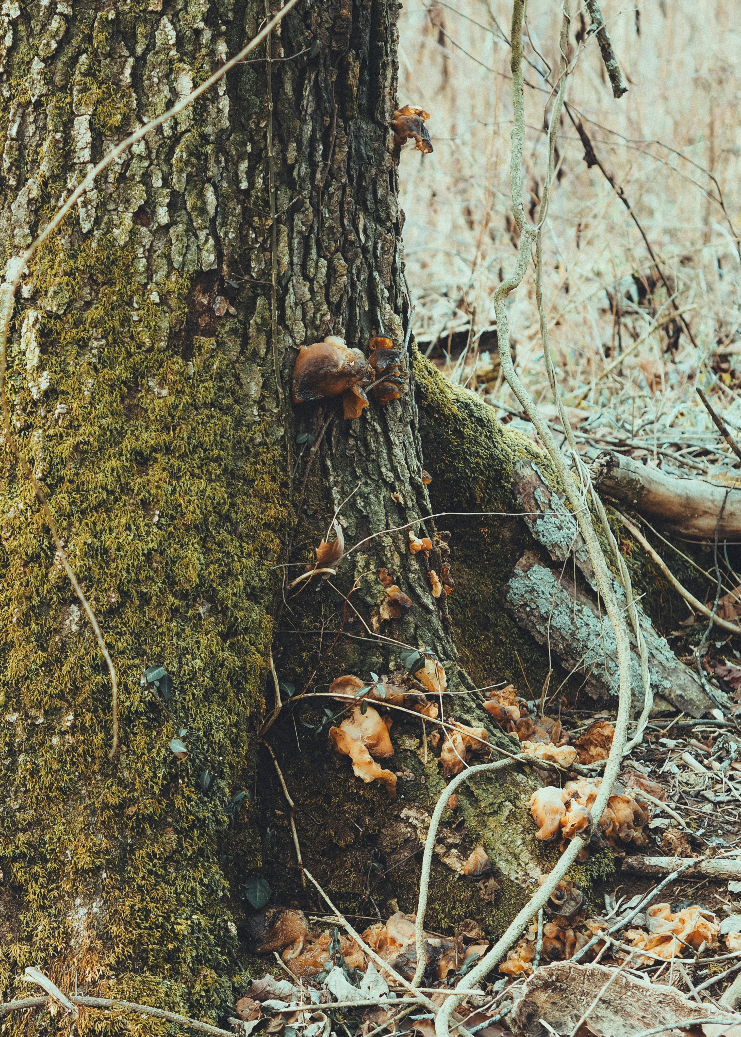 Photo by fieldworkframes