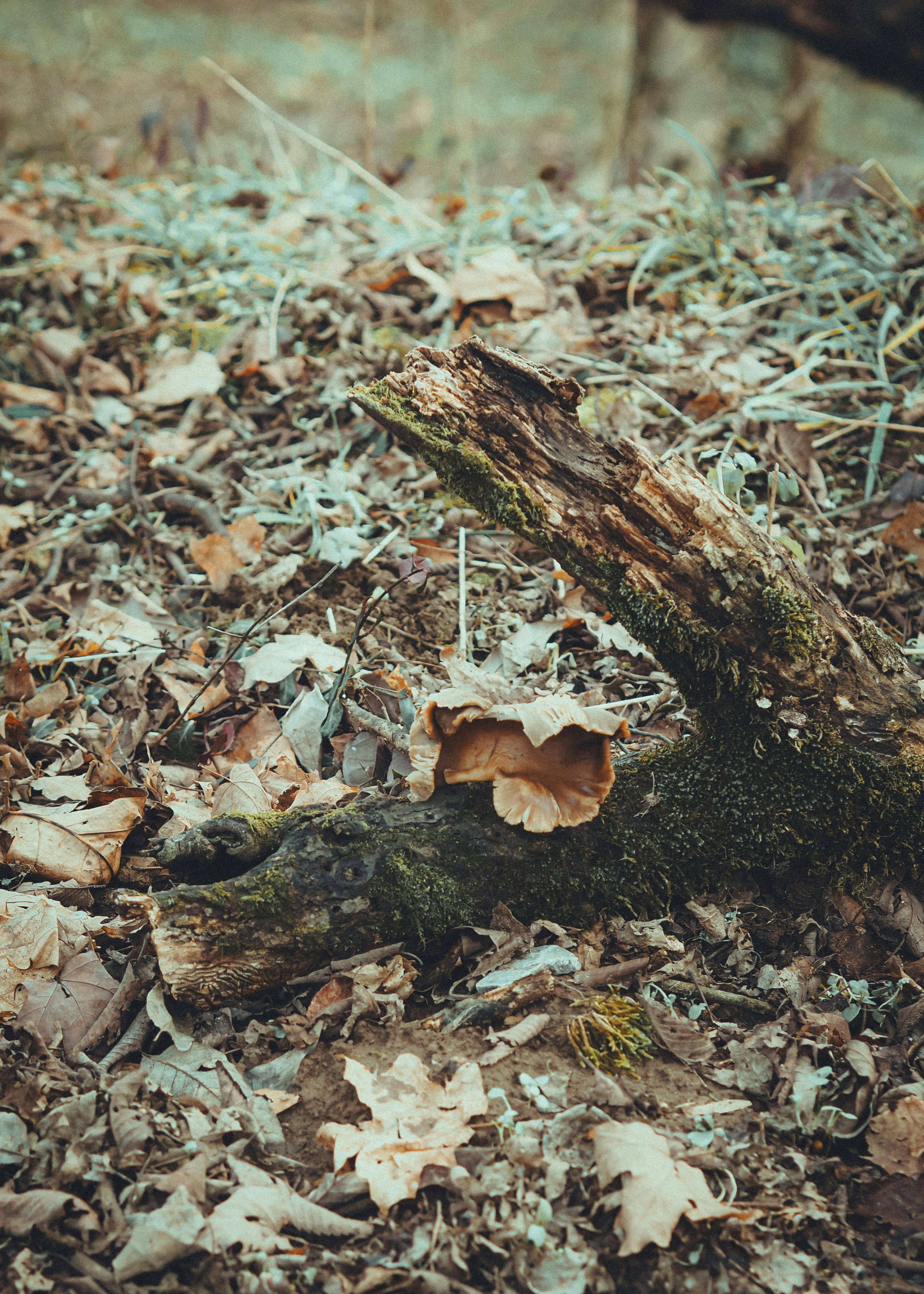 Photo by fieldworkframes