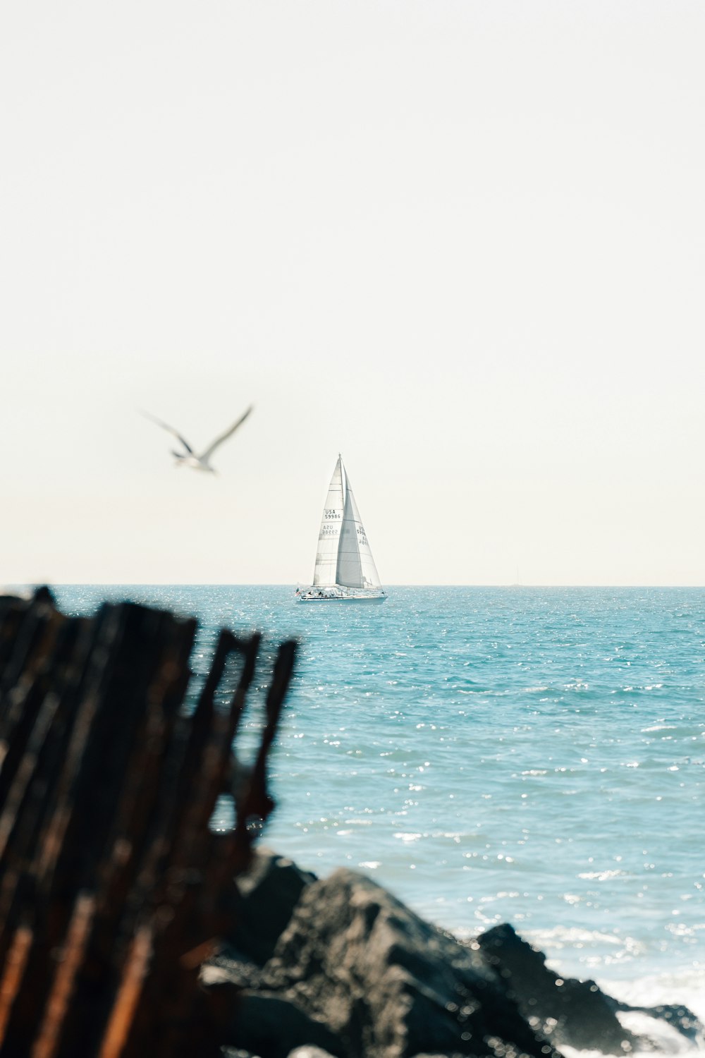 um veleiro está à distância no oceano