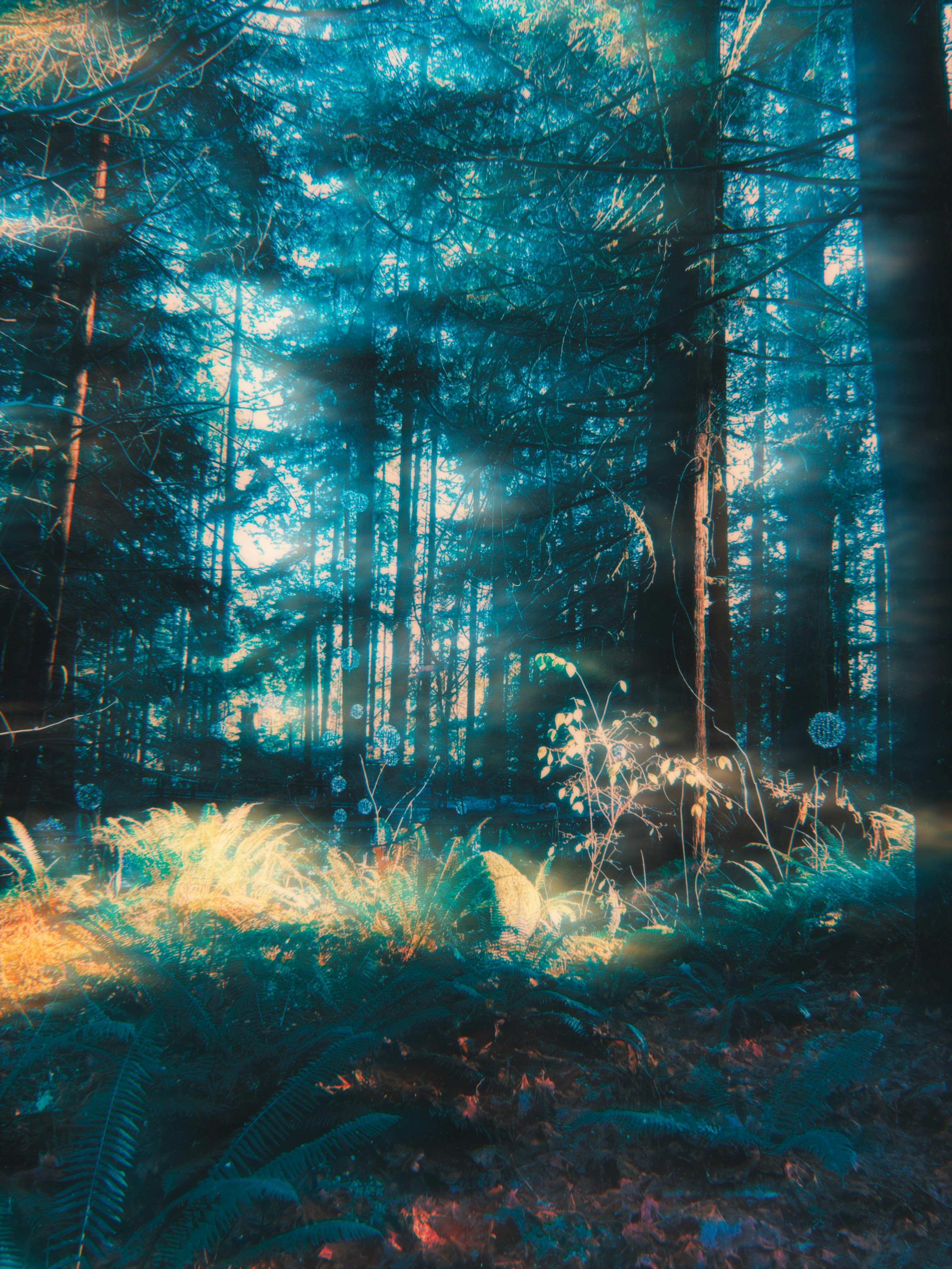 Photo by hairypickle