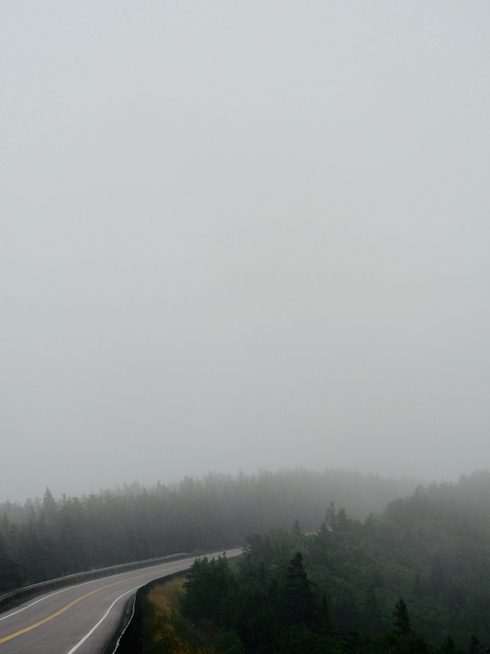 a foggy road with trees on both sides
