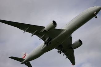 a large jetliner flying through a cloudy sky