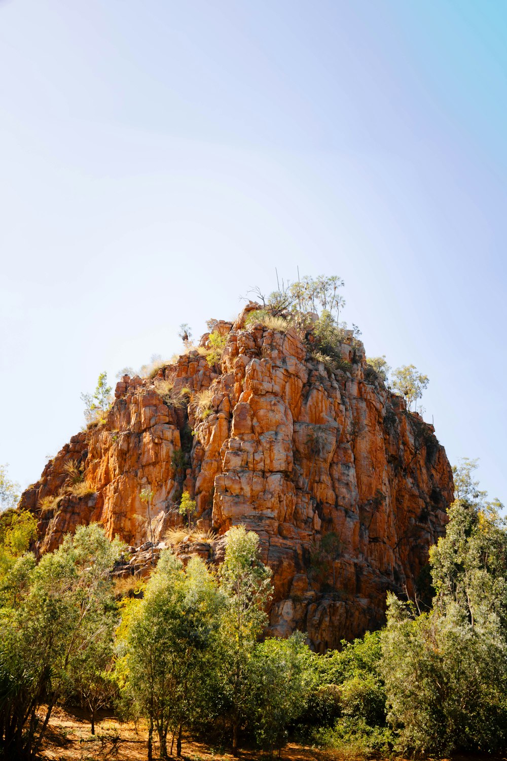 a large rock formation with trees around it