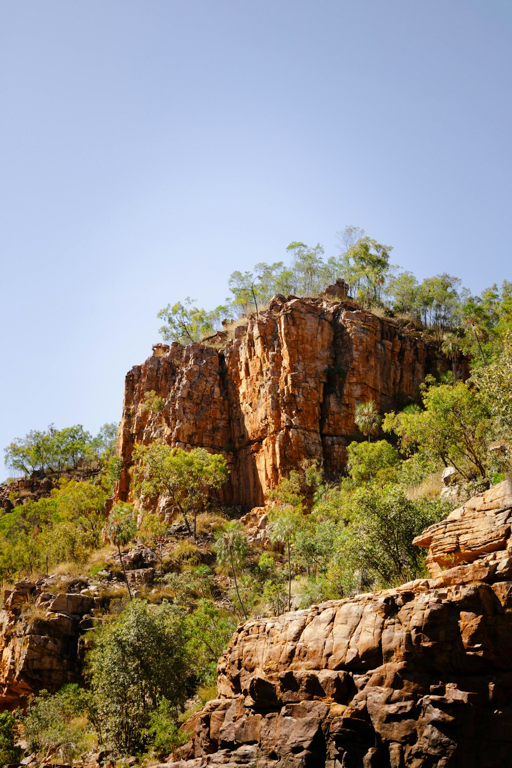 a rocky mountain with trees on the side of it