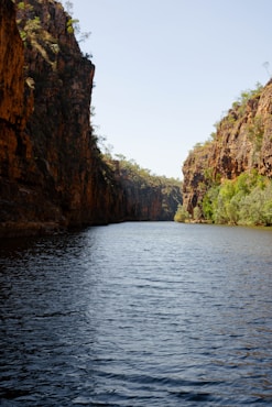 a body of water surrounded by mountains and trees