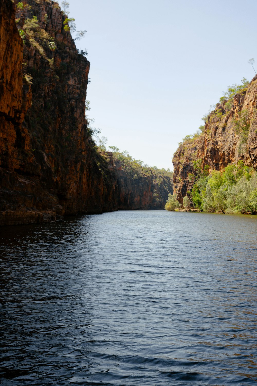 a body of water surrounded by mountains and trees