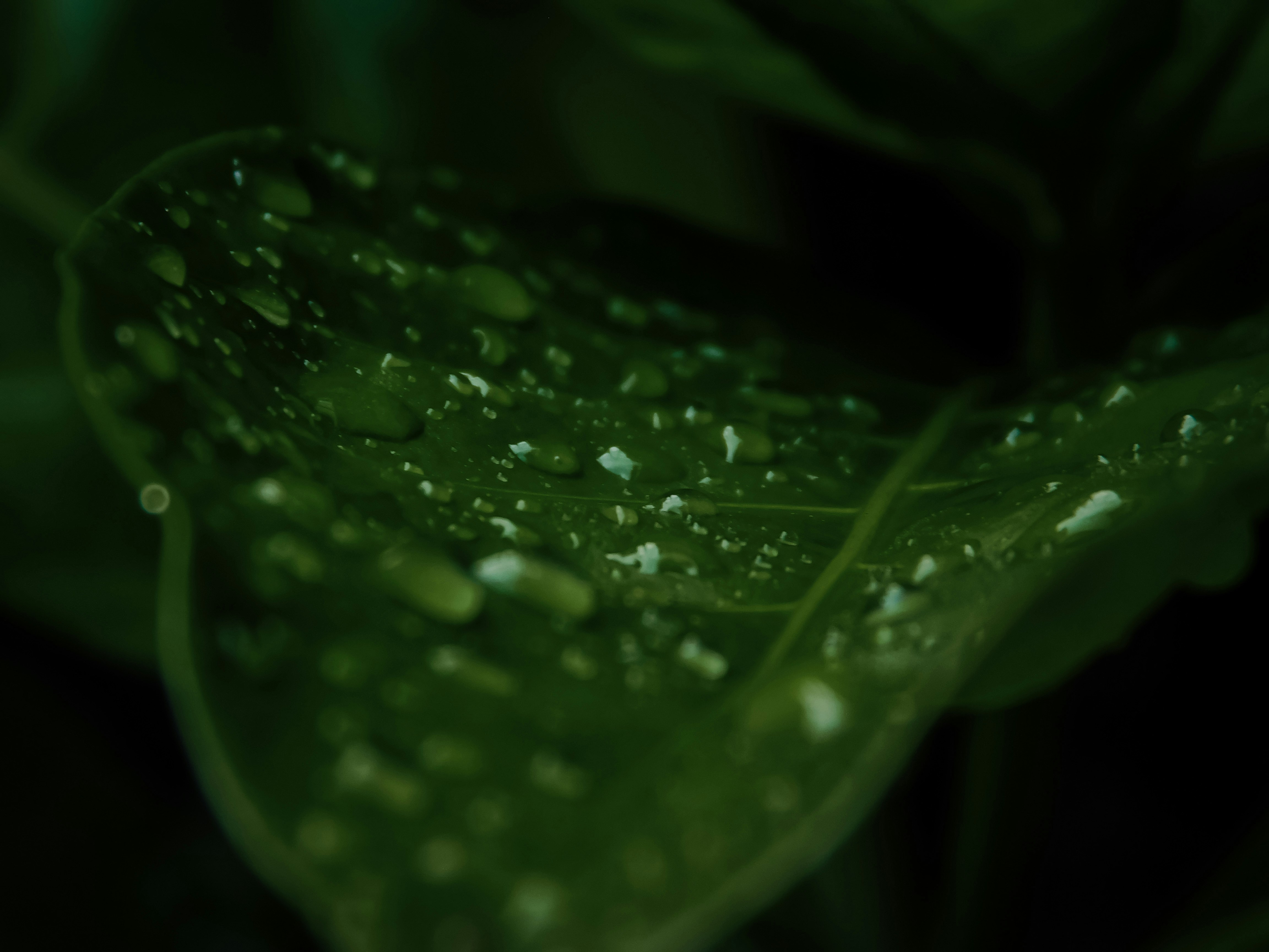 Photo by true_reflection_s