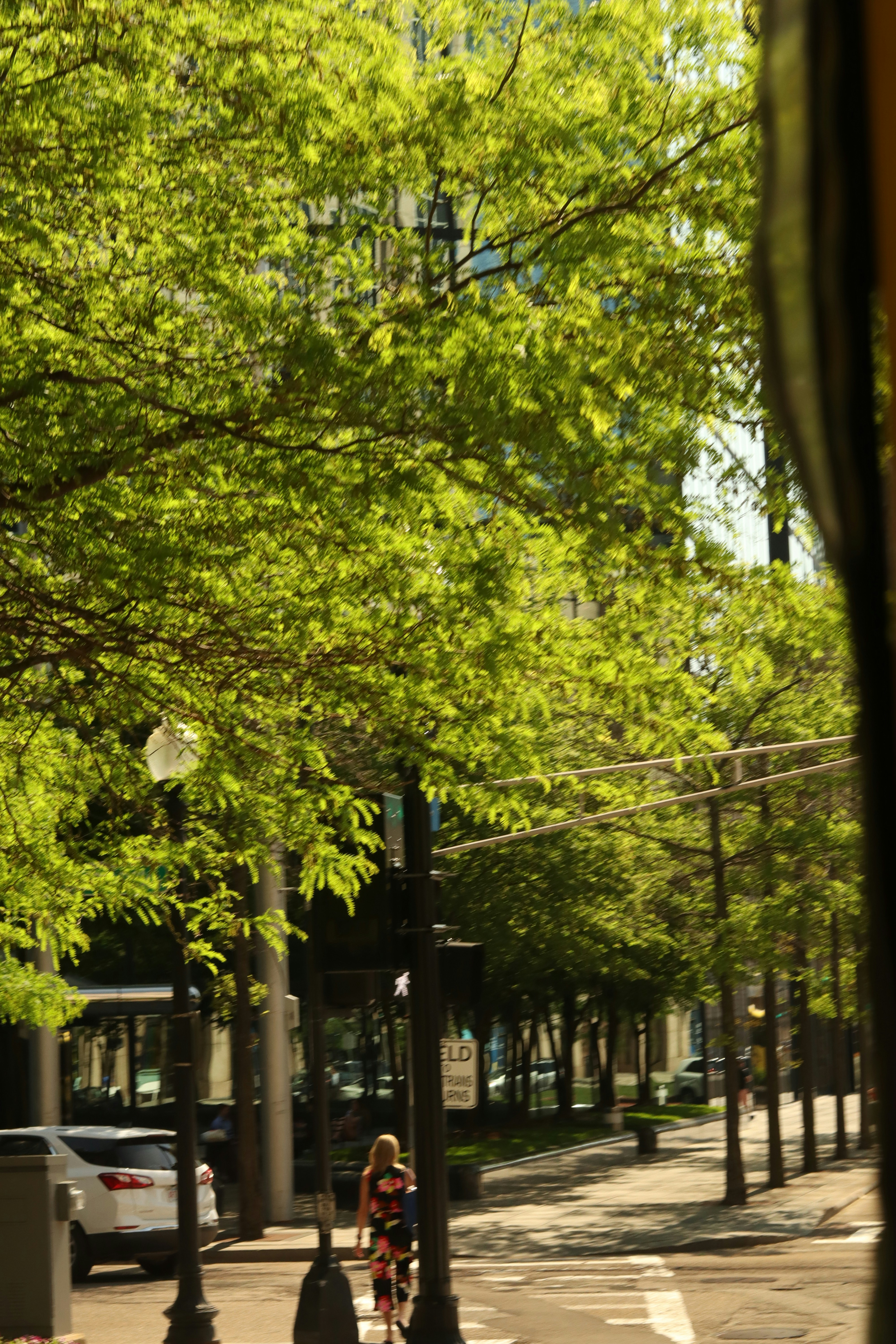 Photo by raselali_photos