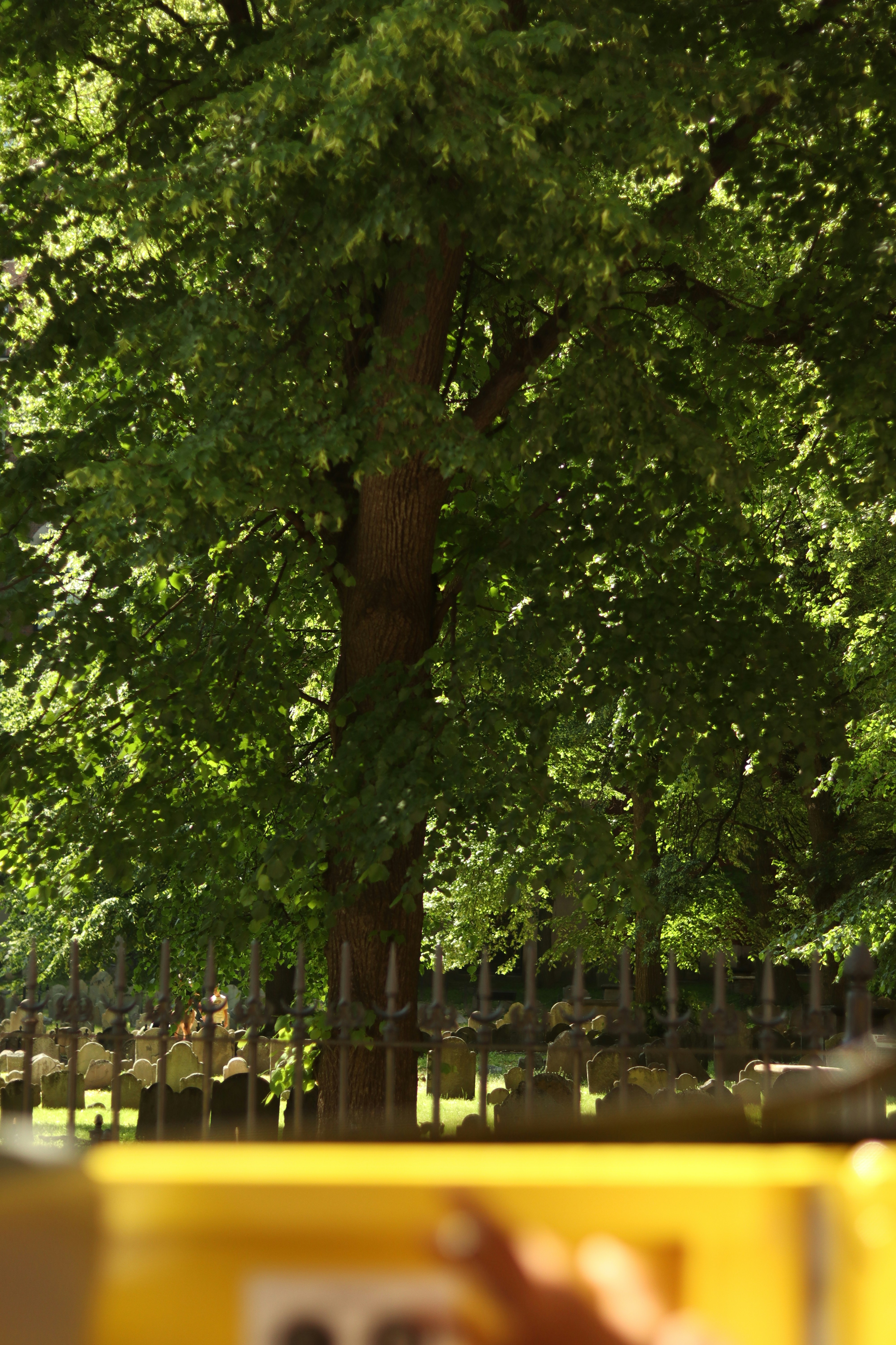 Photo by raselali_photos