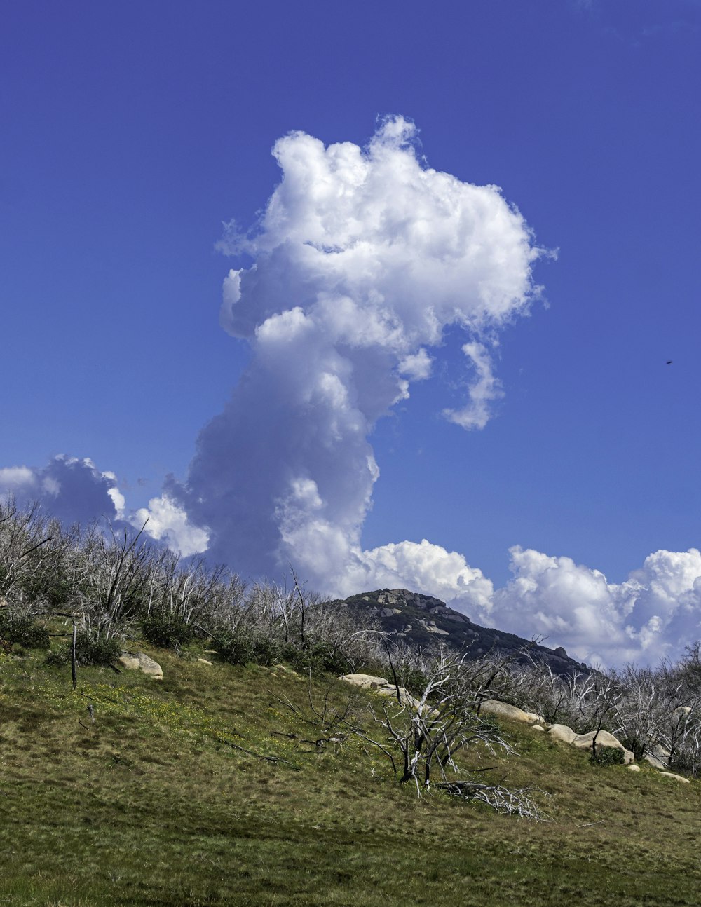 a large cloud of smoke rises above a grassy hill