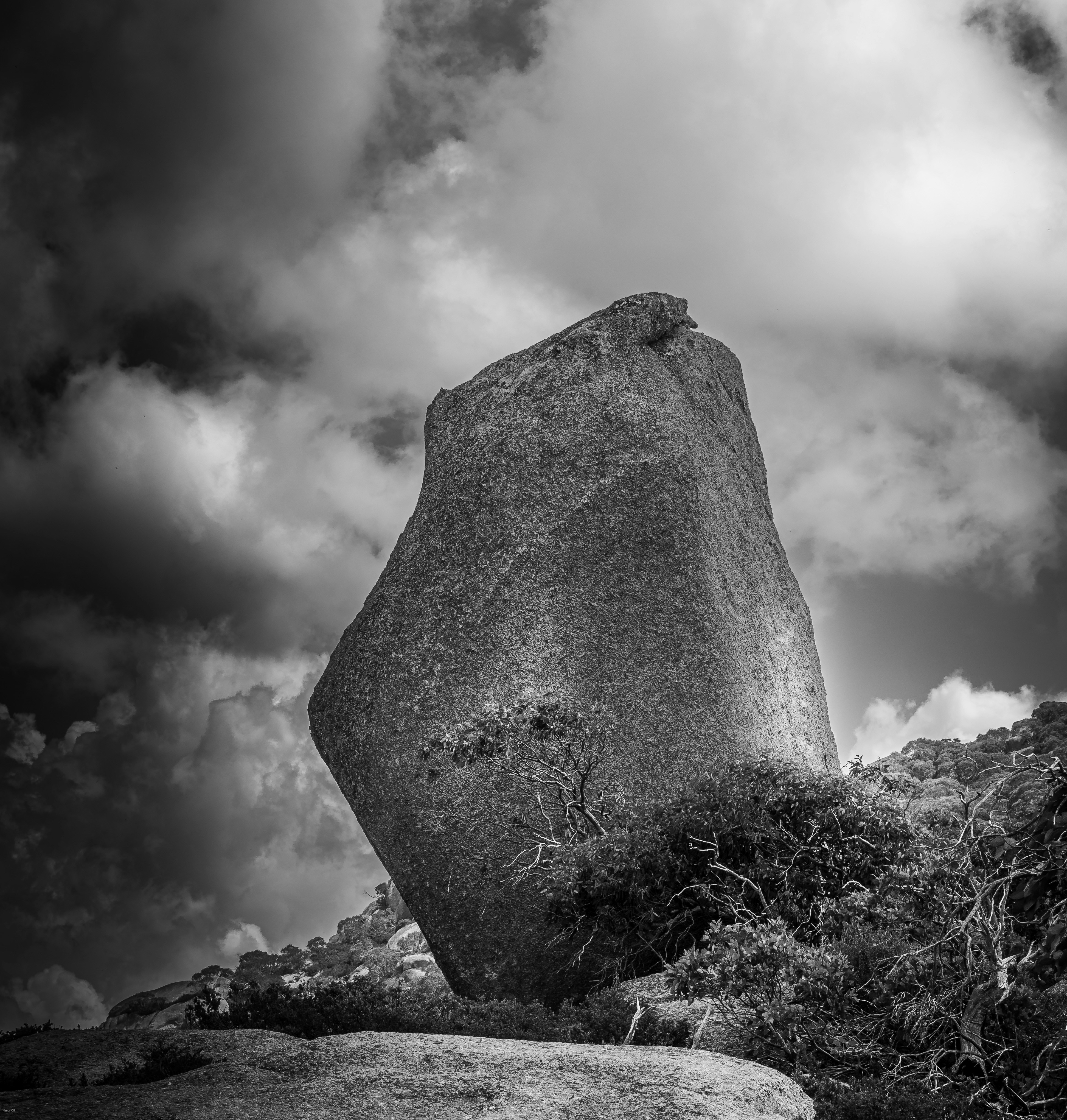 Photo by 11x11