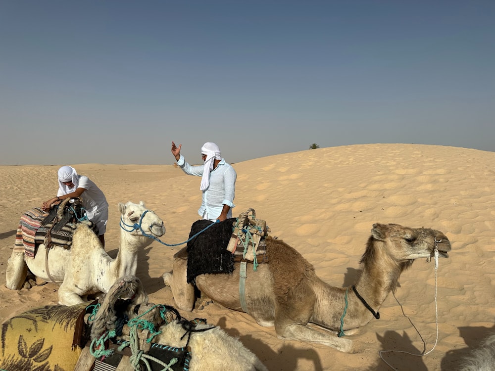 two people riding on camels in the desert