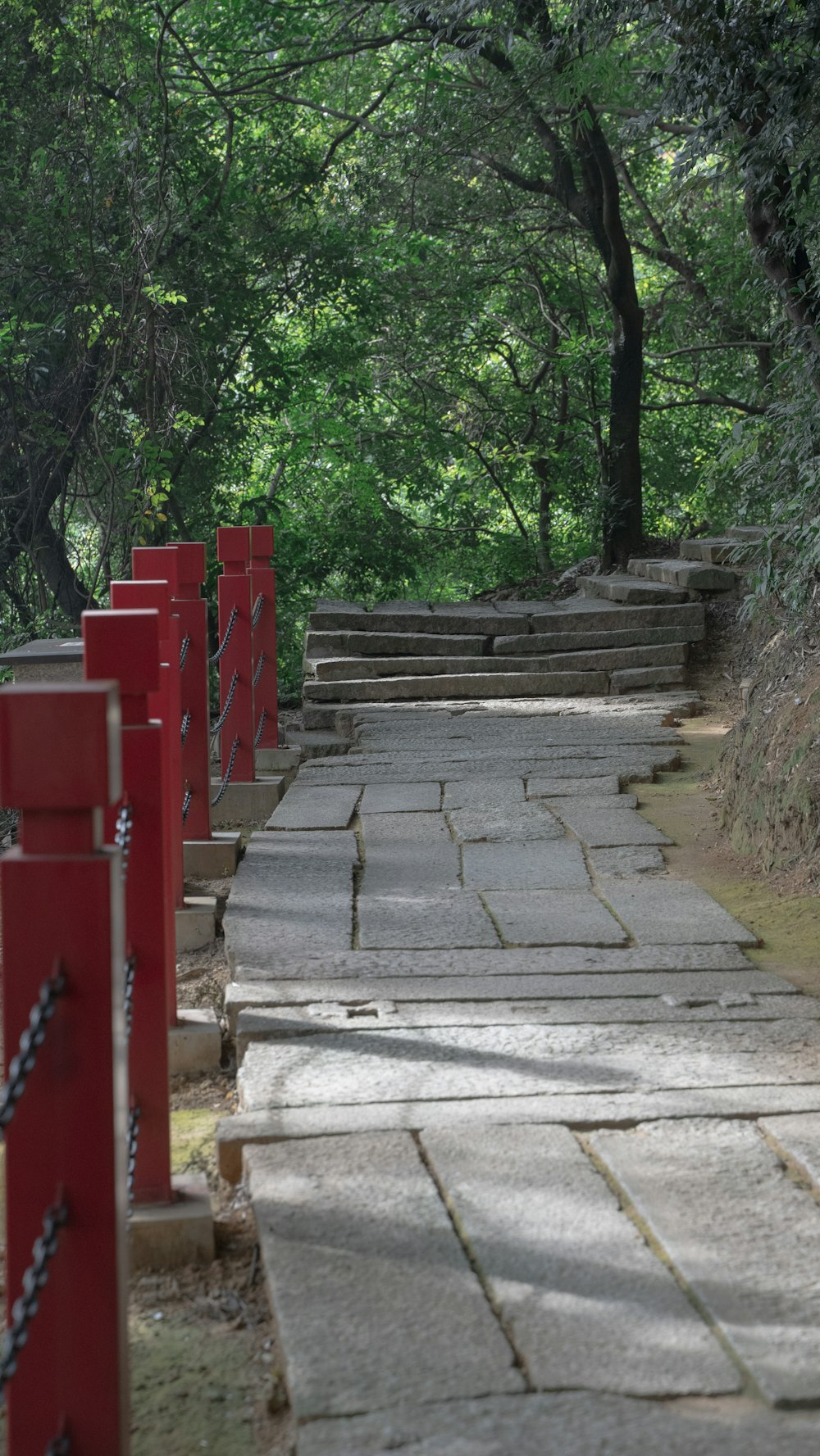 a stone path with red gates leading to trees