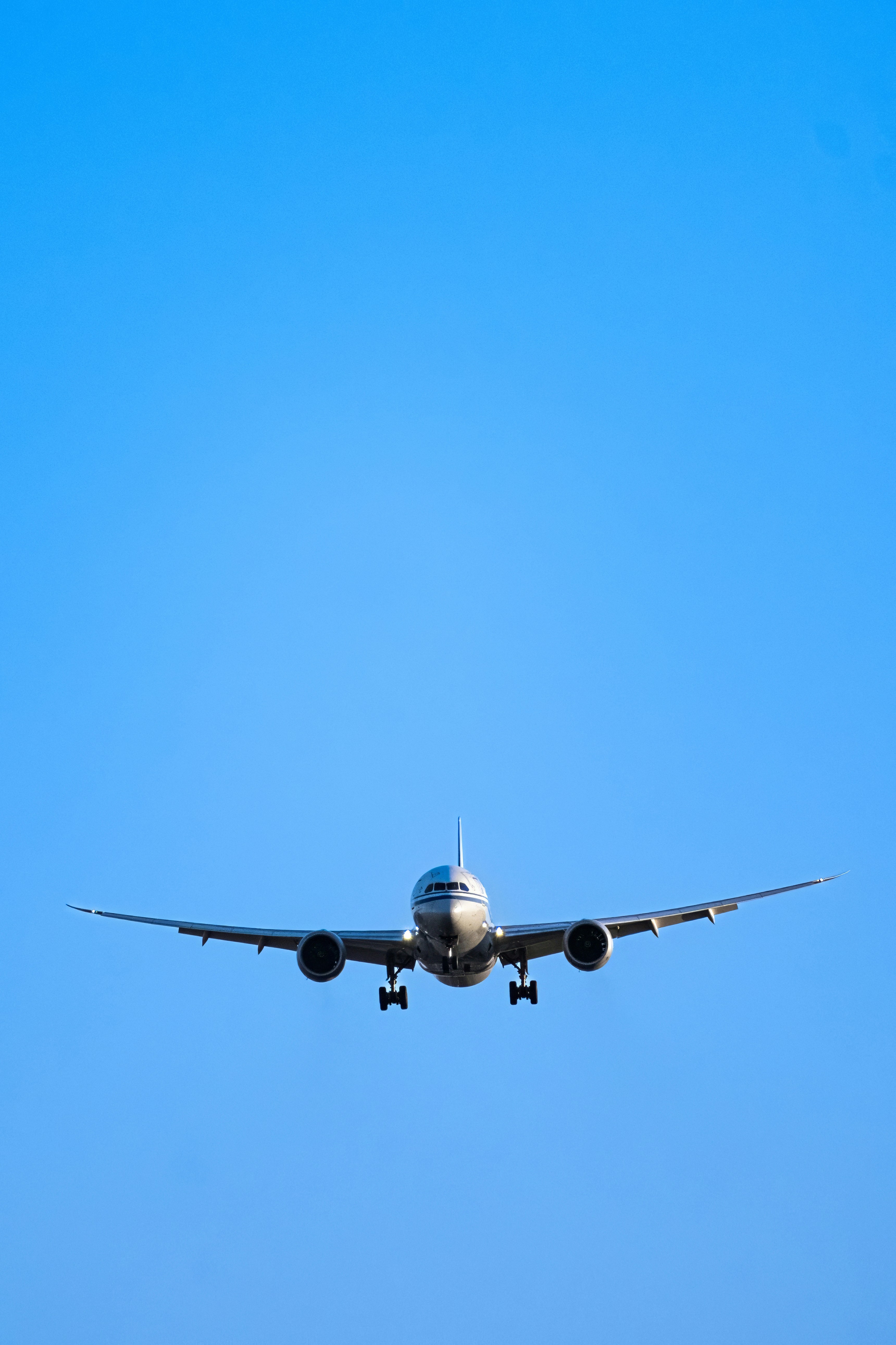 Photo by hattrick1996