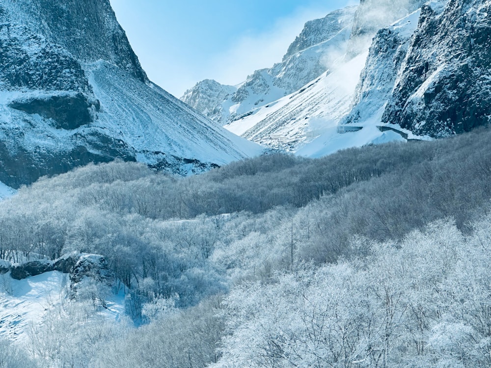 a snow covered mountain with trees in the foreground