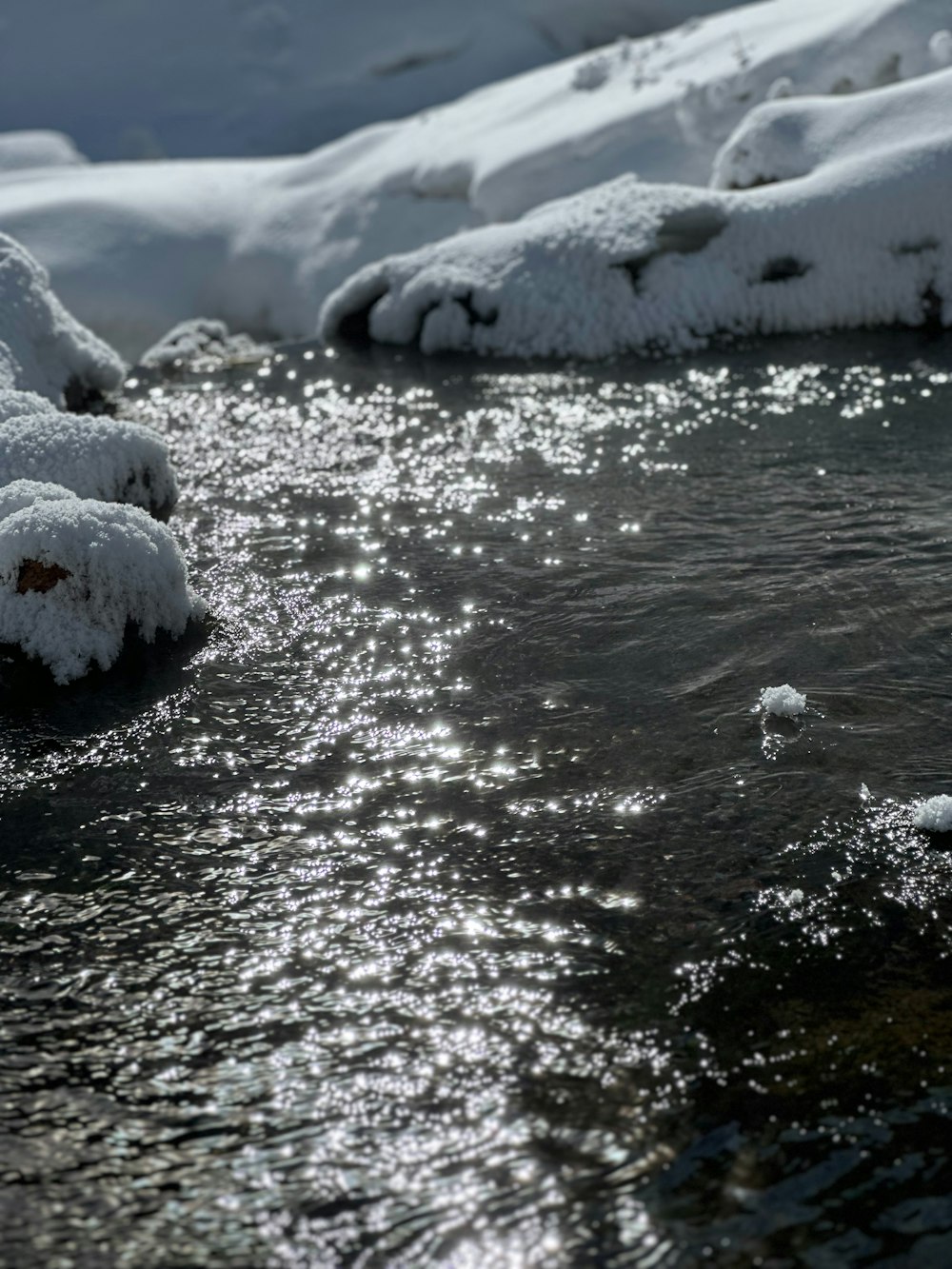 a stream running through a snow covered forest