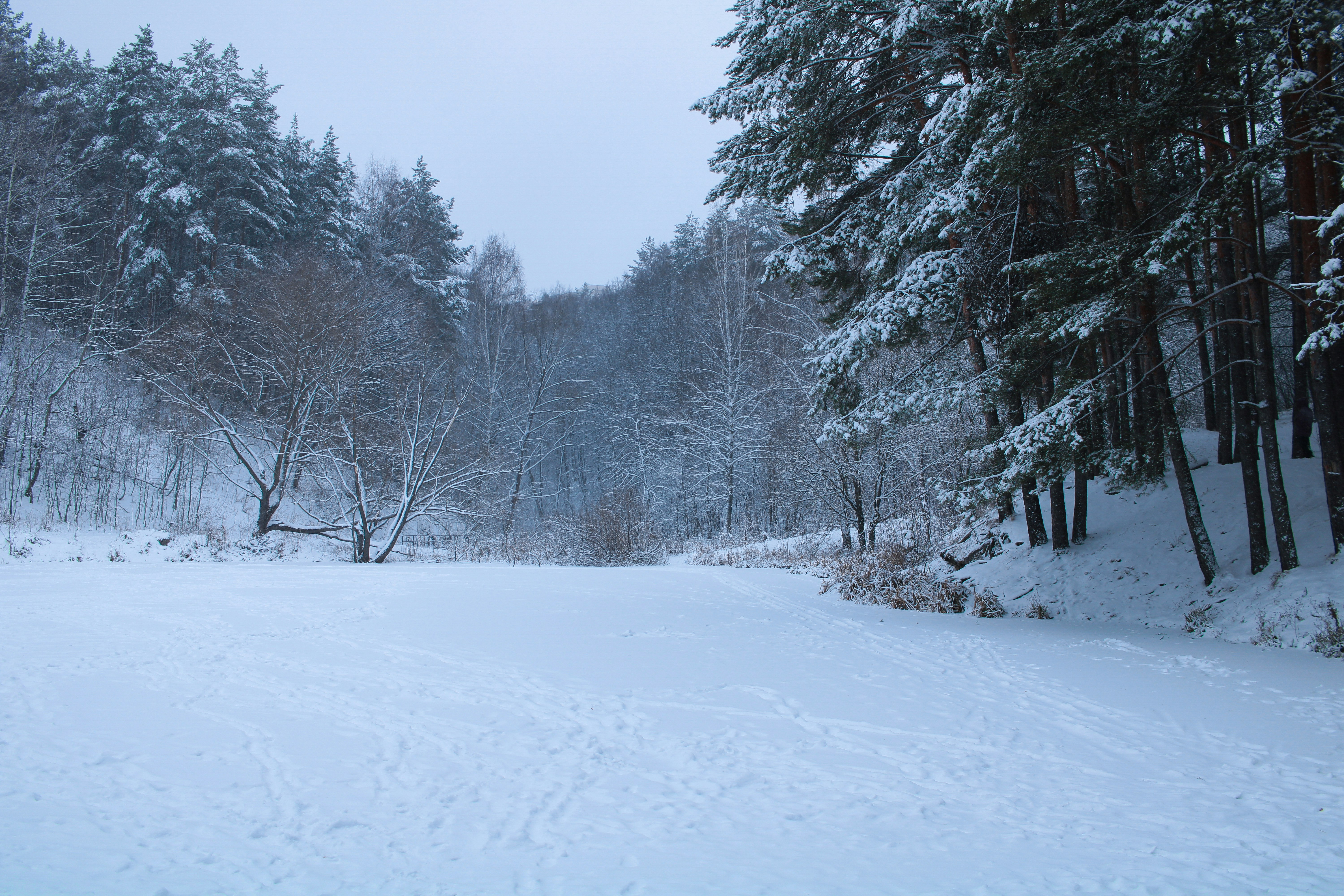 Photo by maksimzaviktorin