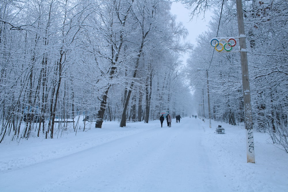 a group of people walking down a snow covered road