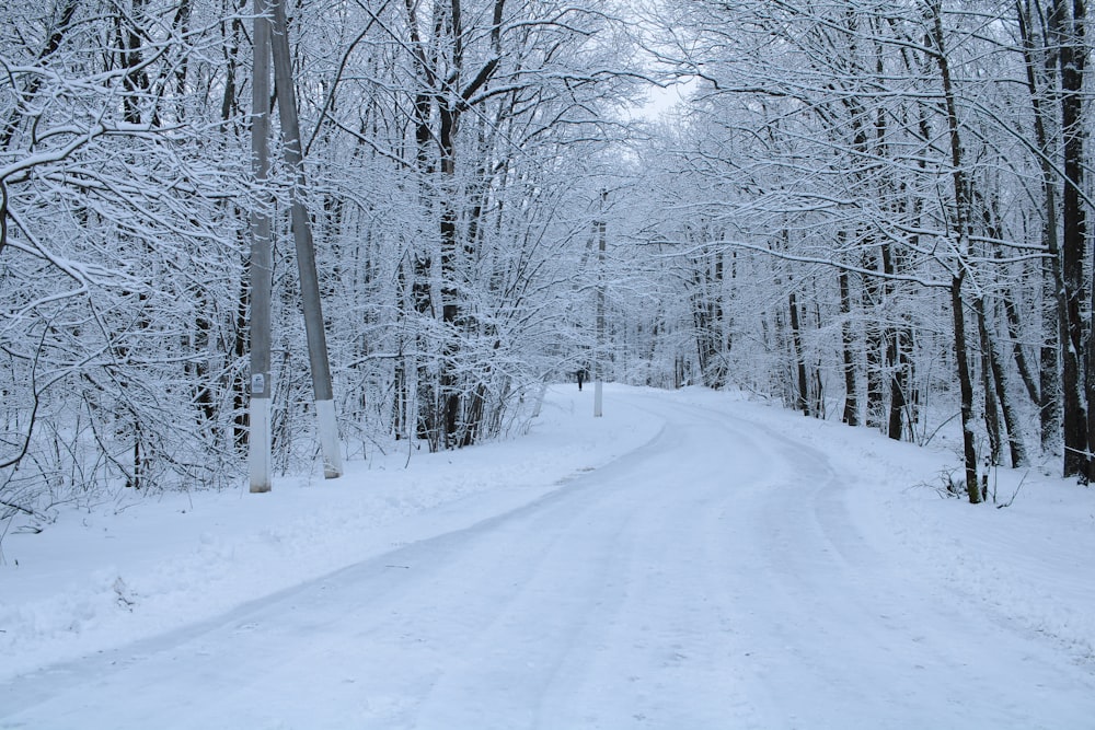 a snow covered road in the middle of a forest