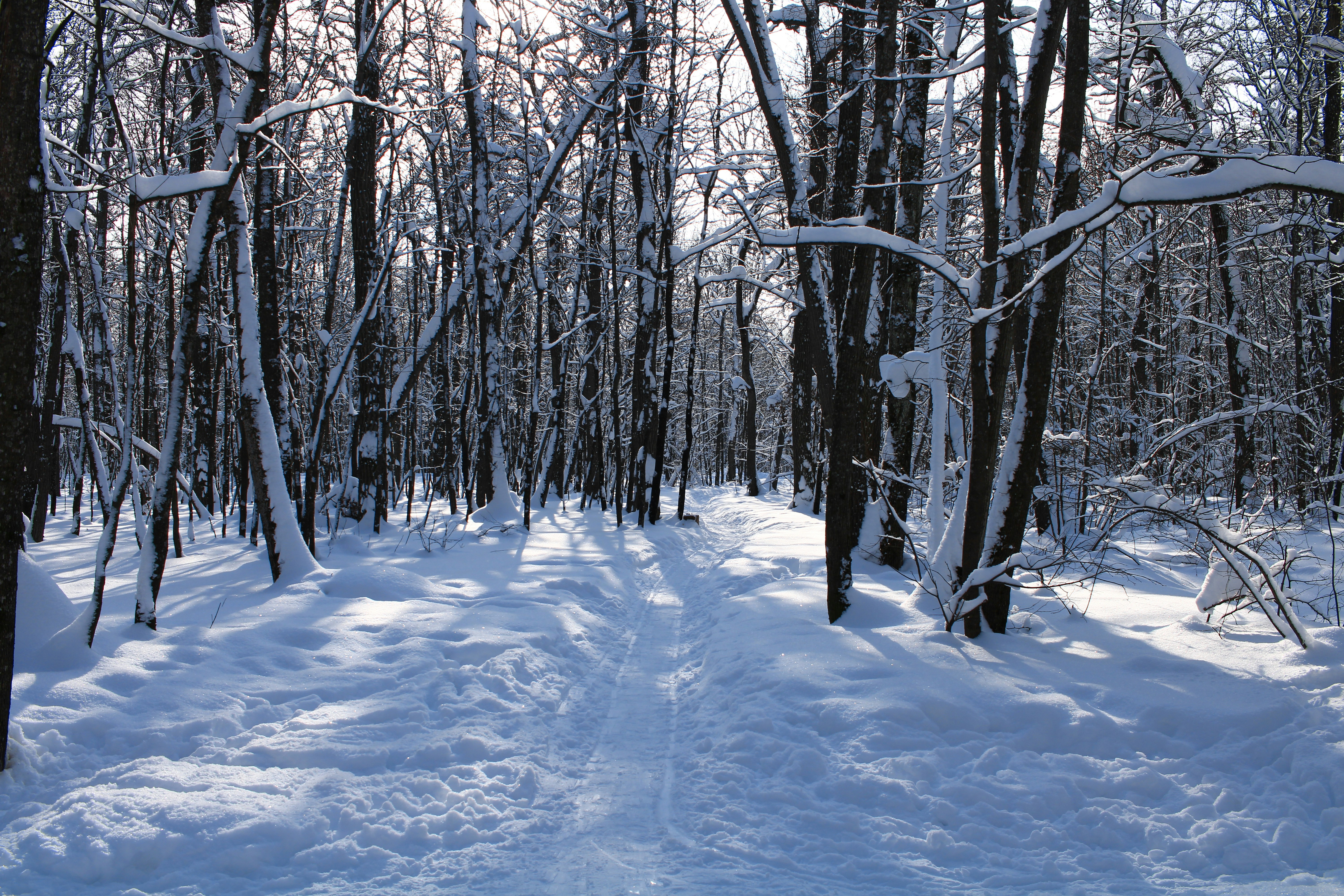 Photo by maksimzaviktorin