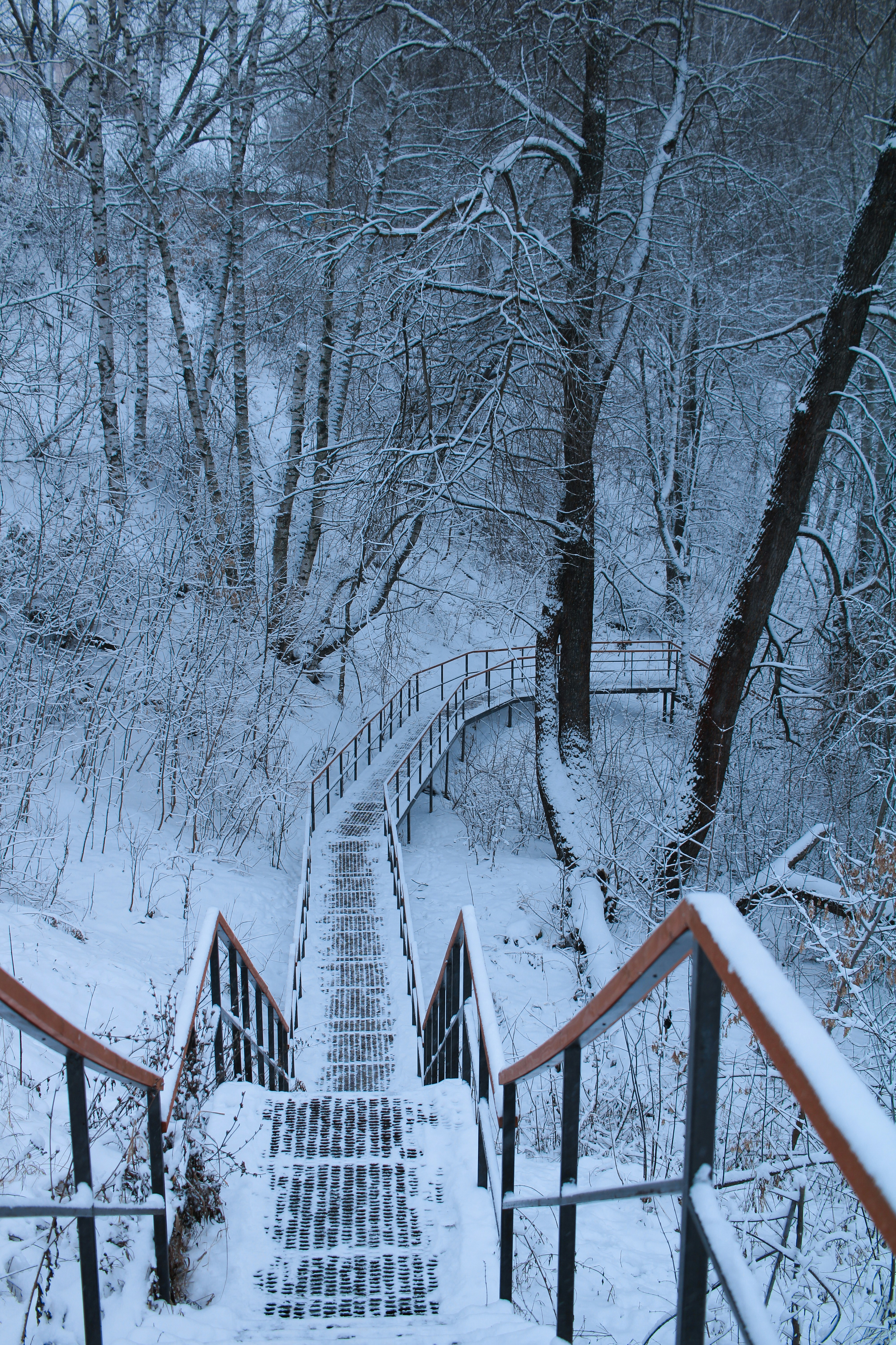 Photo by maksimzaviktorin