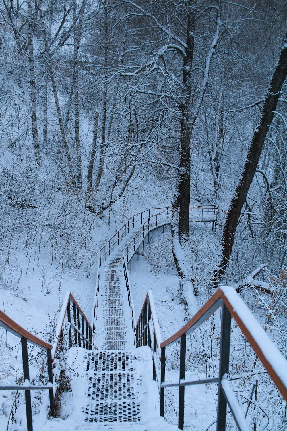 a set of stairs that are covered in snow